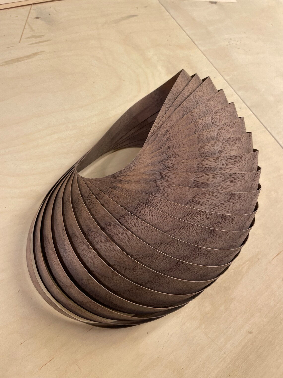 Wall lamp shell walnut