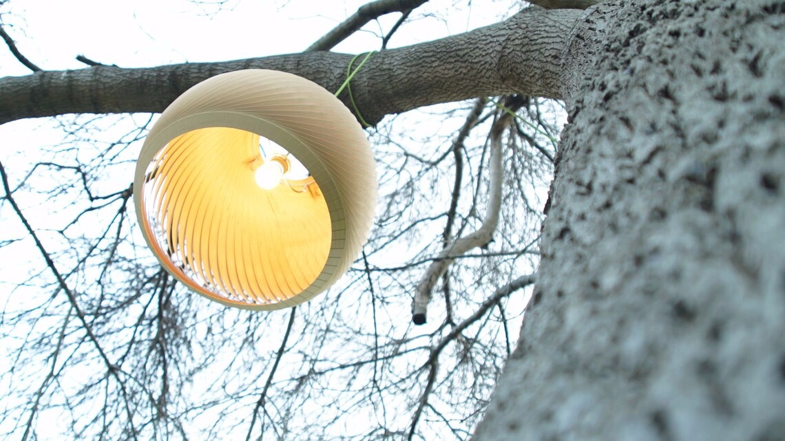 Pendant lamp wind maple