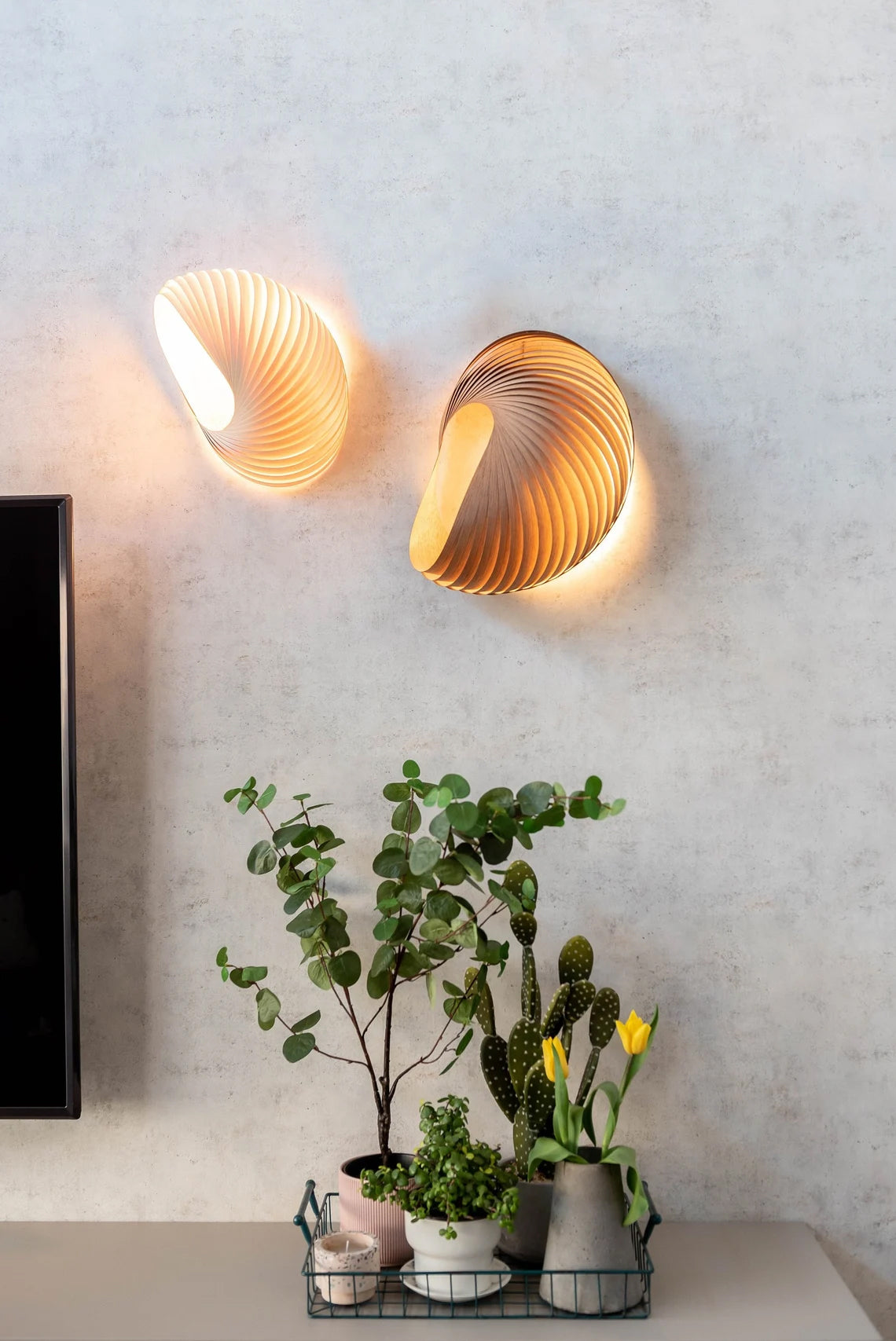 Wall lamp shell bamboo