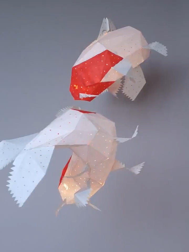 Pendant Koi Kohaku light var.1