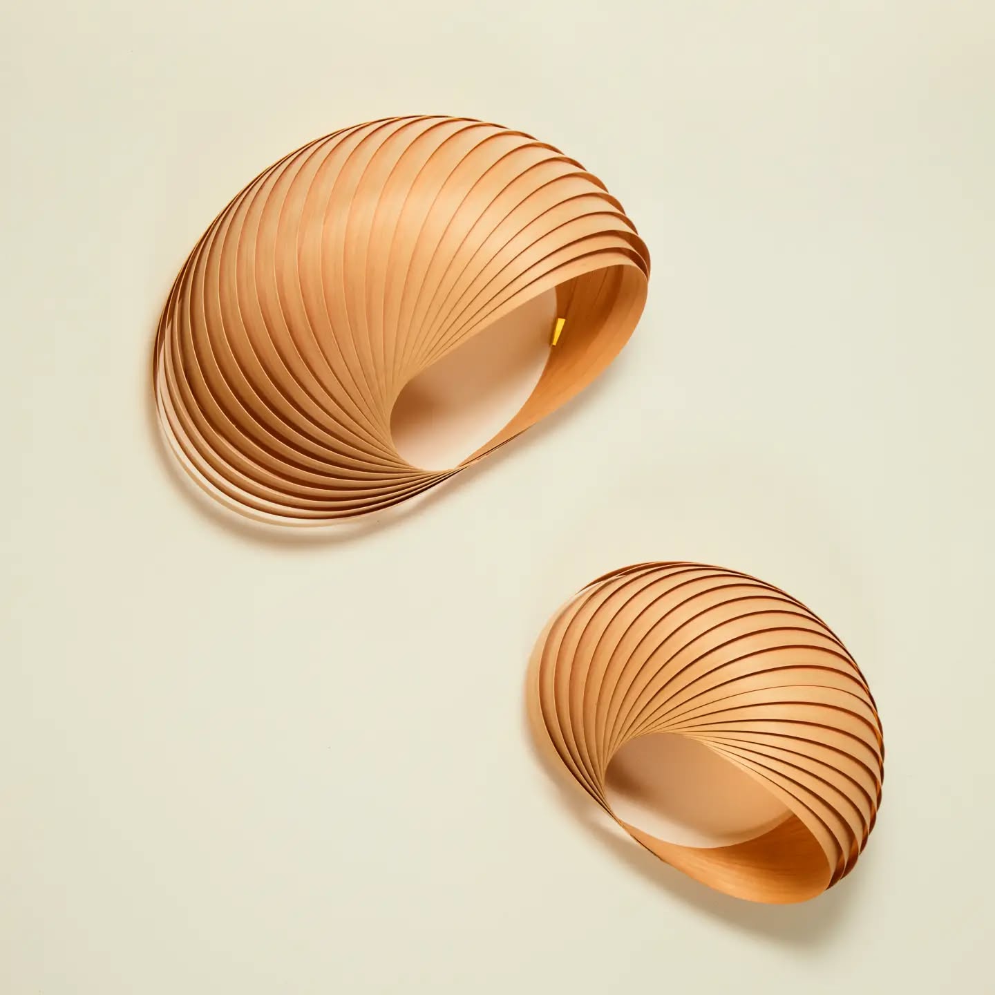 Wall lamp shell maple