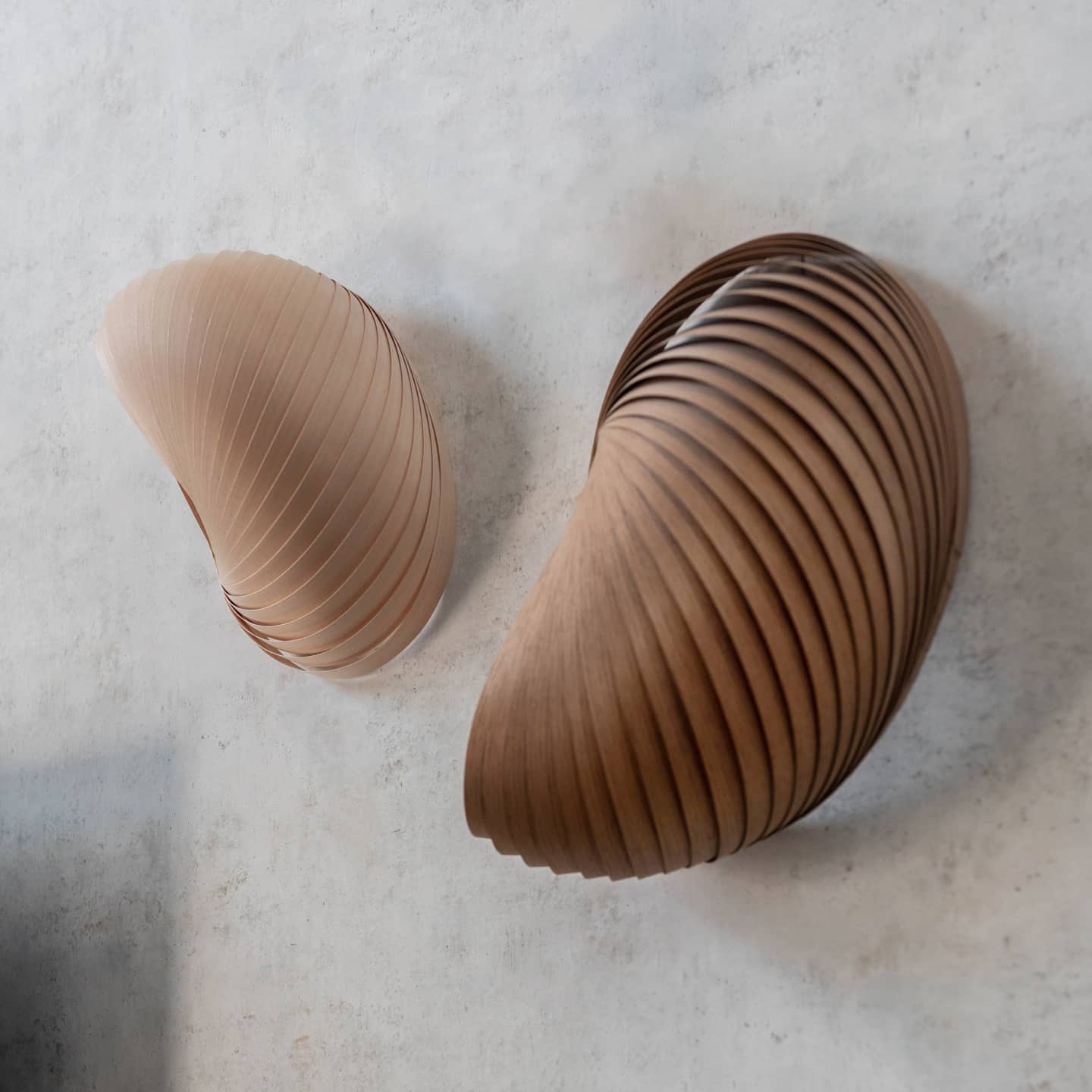 Wall lamp shell walnut