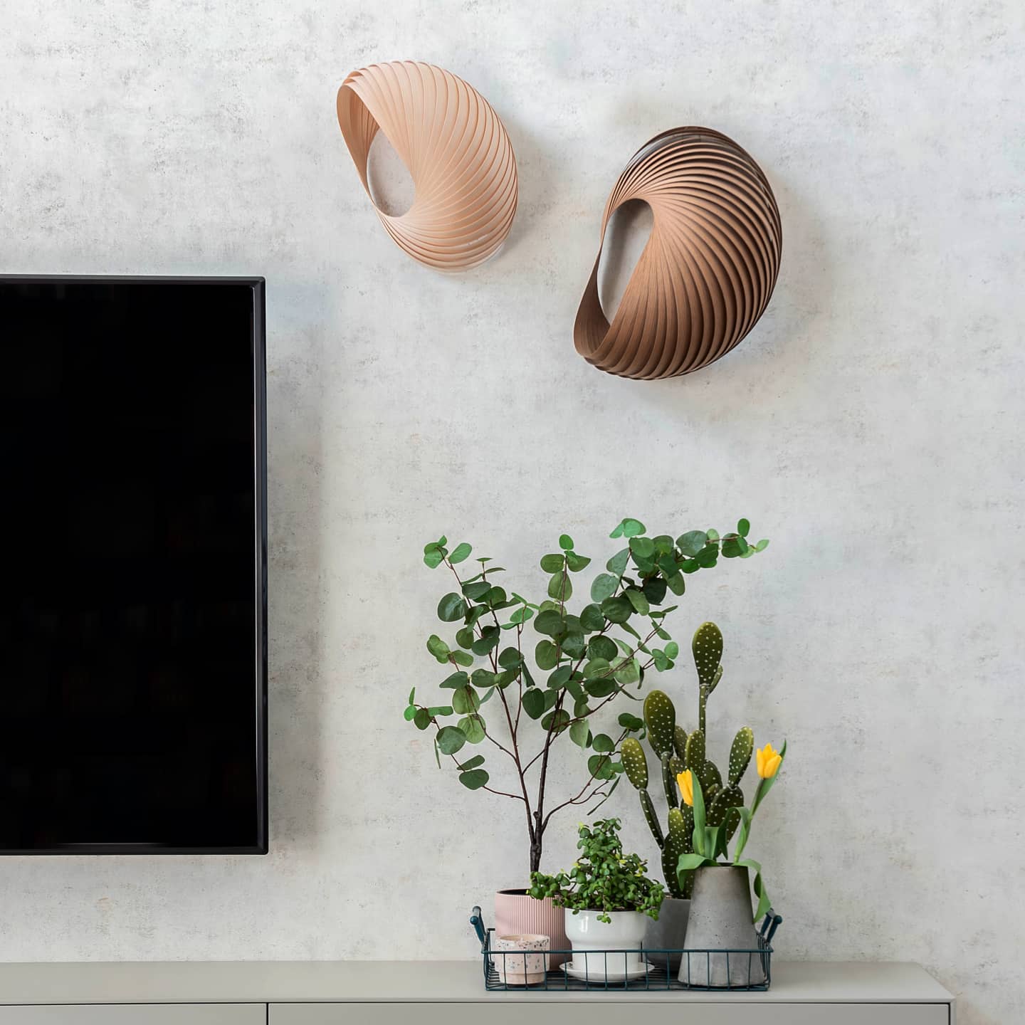 Wall lamp shell walnut