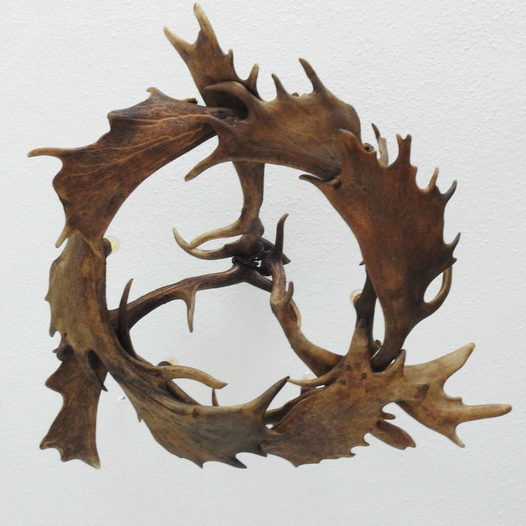 Fallow deer antler chandelier