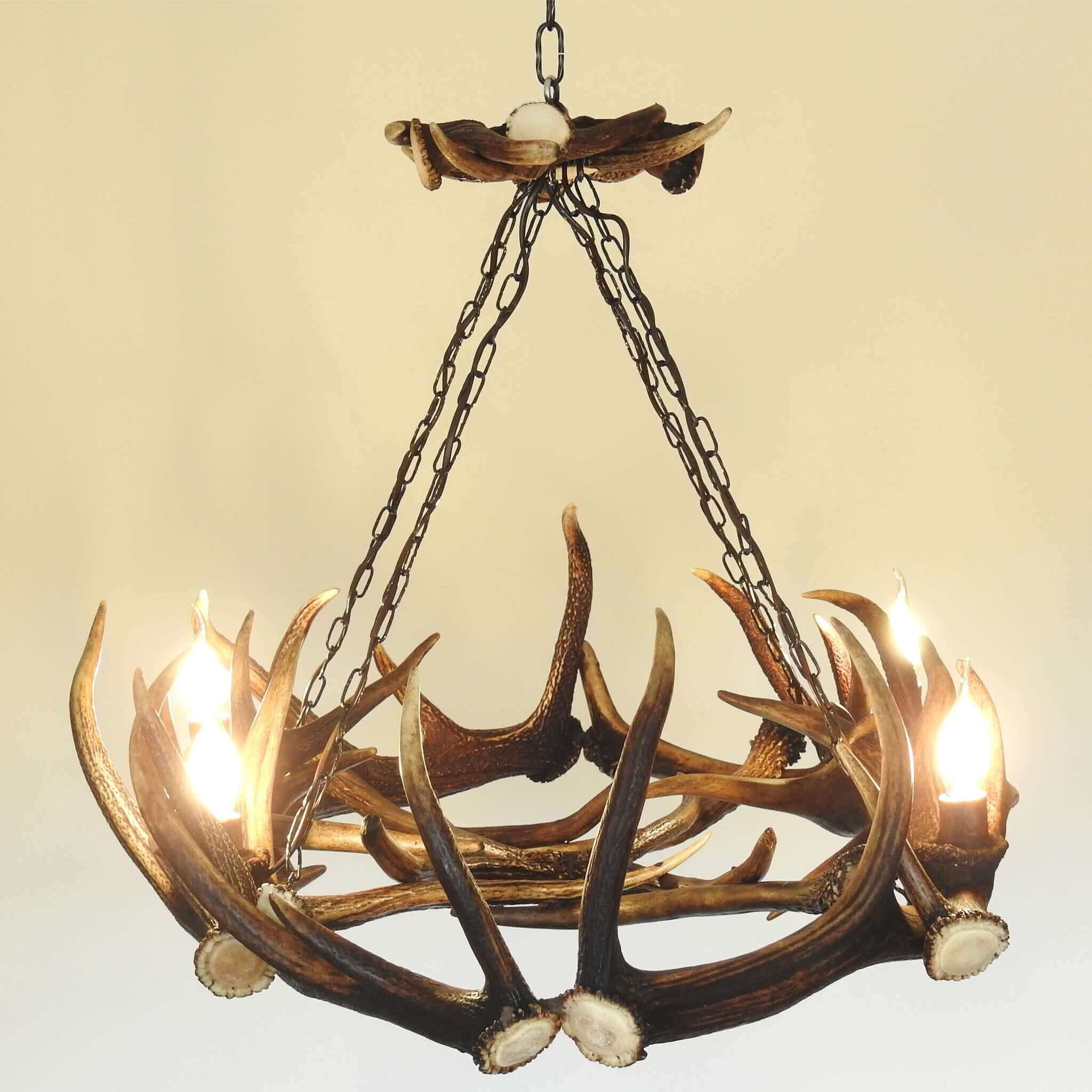 Ellipse antler chandelier