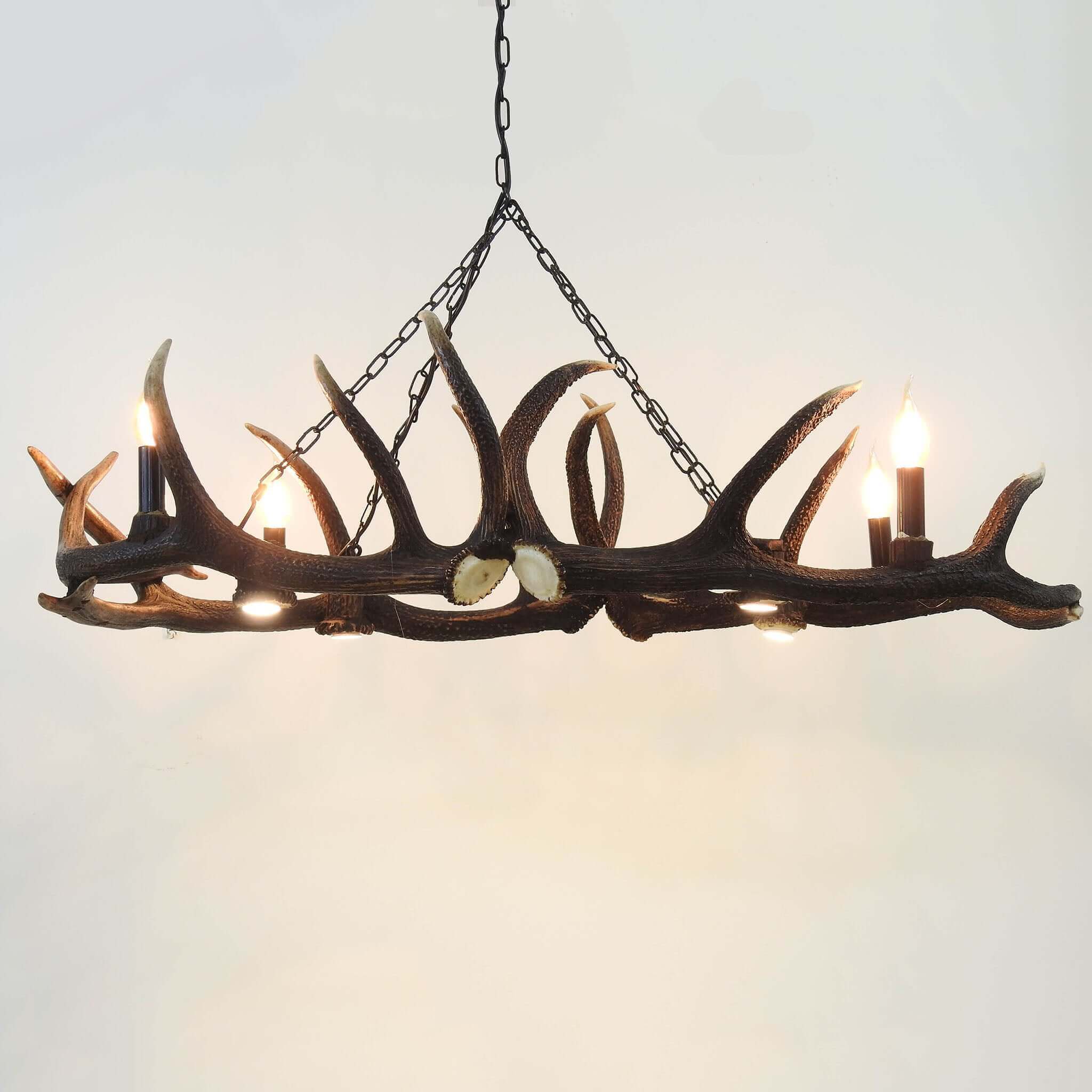 Elipse antler chandelier for 8 lights