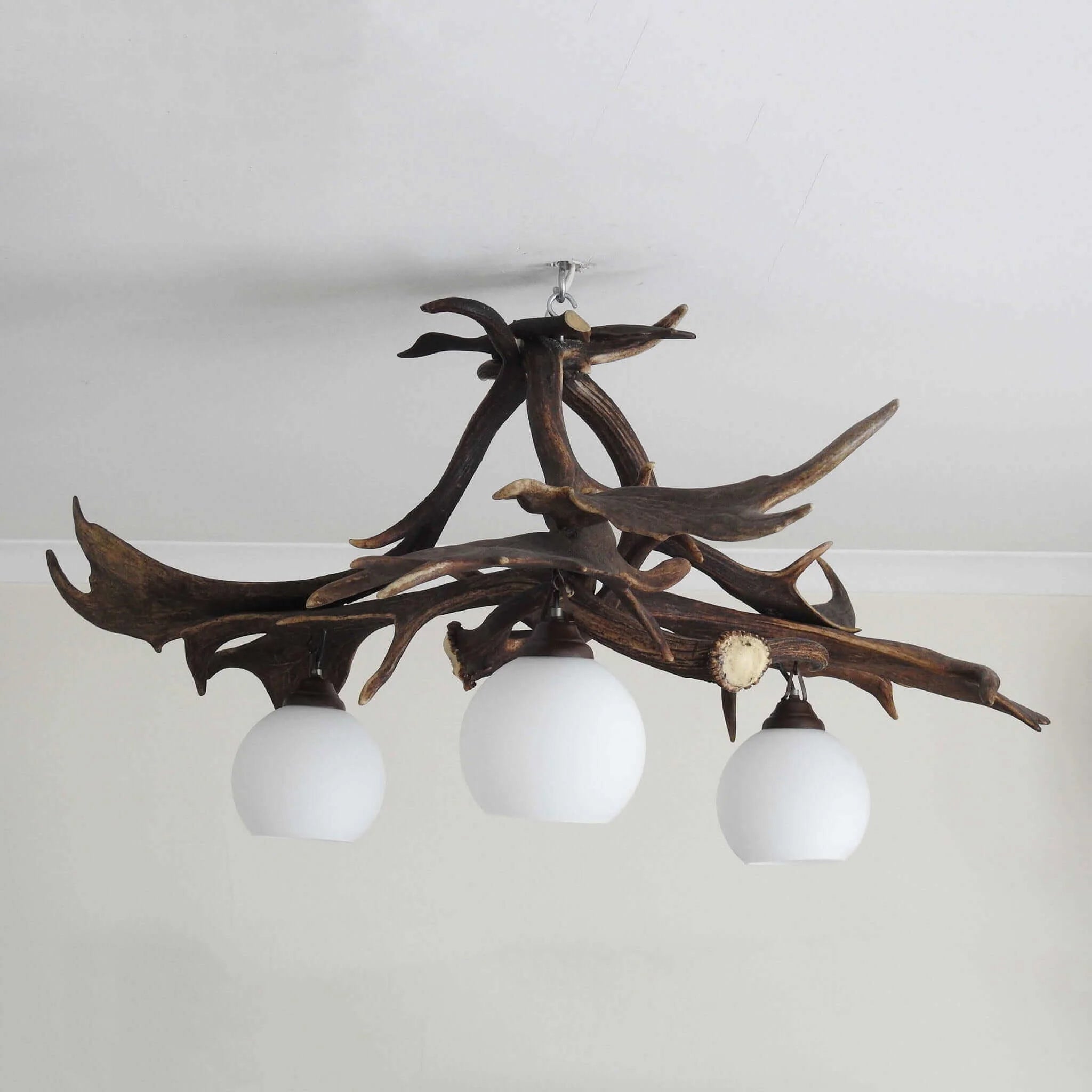 Real antler pendant lamp for 3 lights