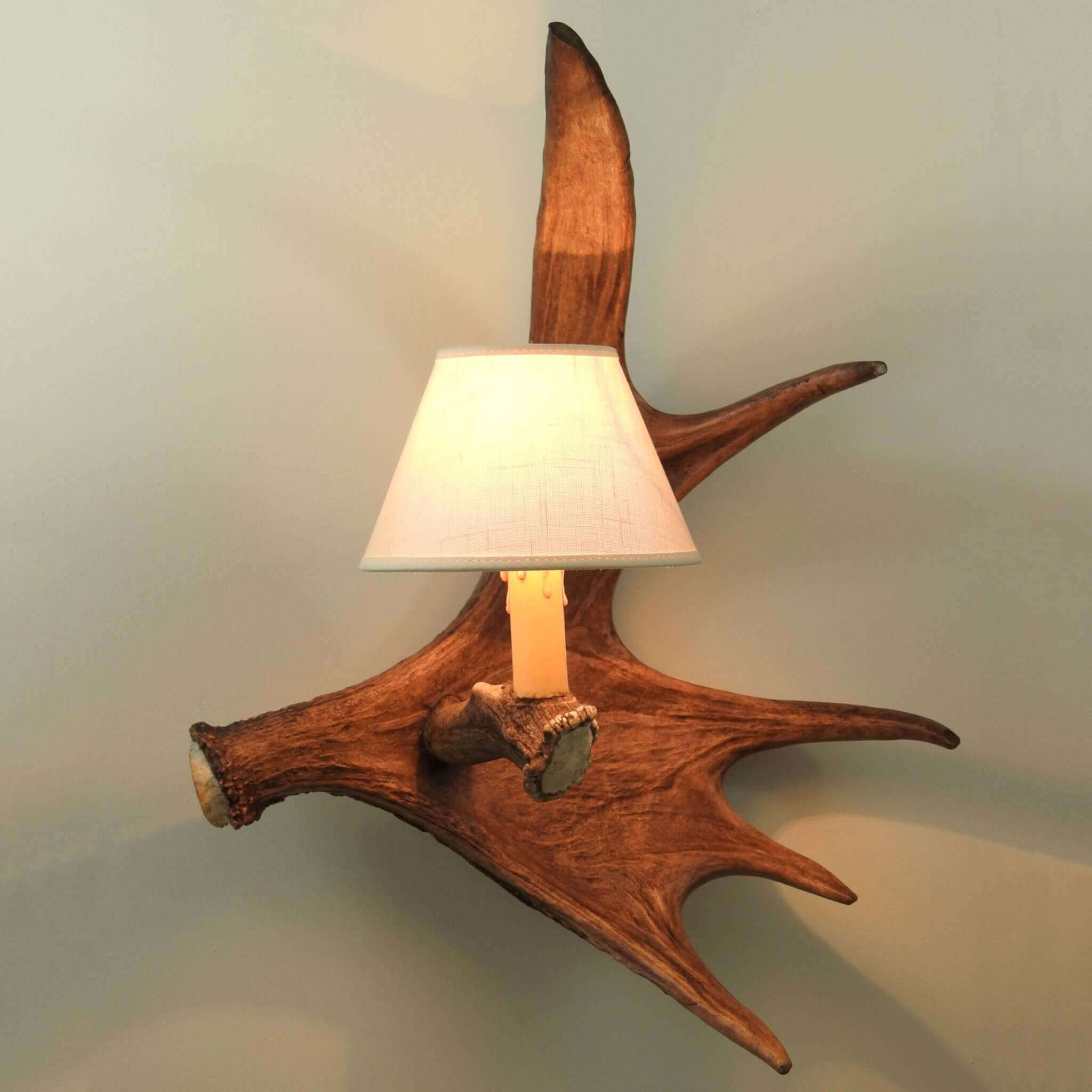 Single moose sconce with shade
