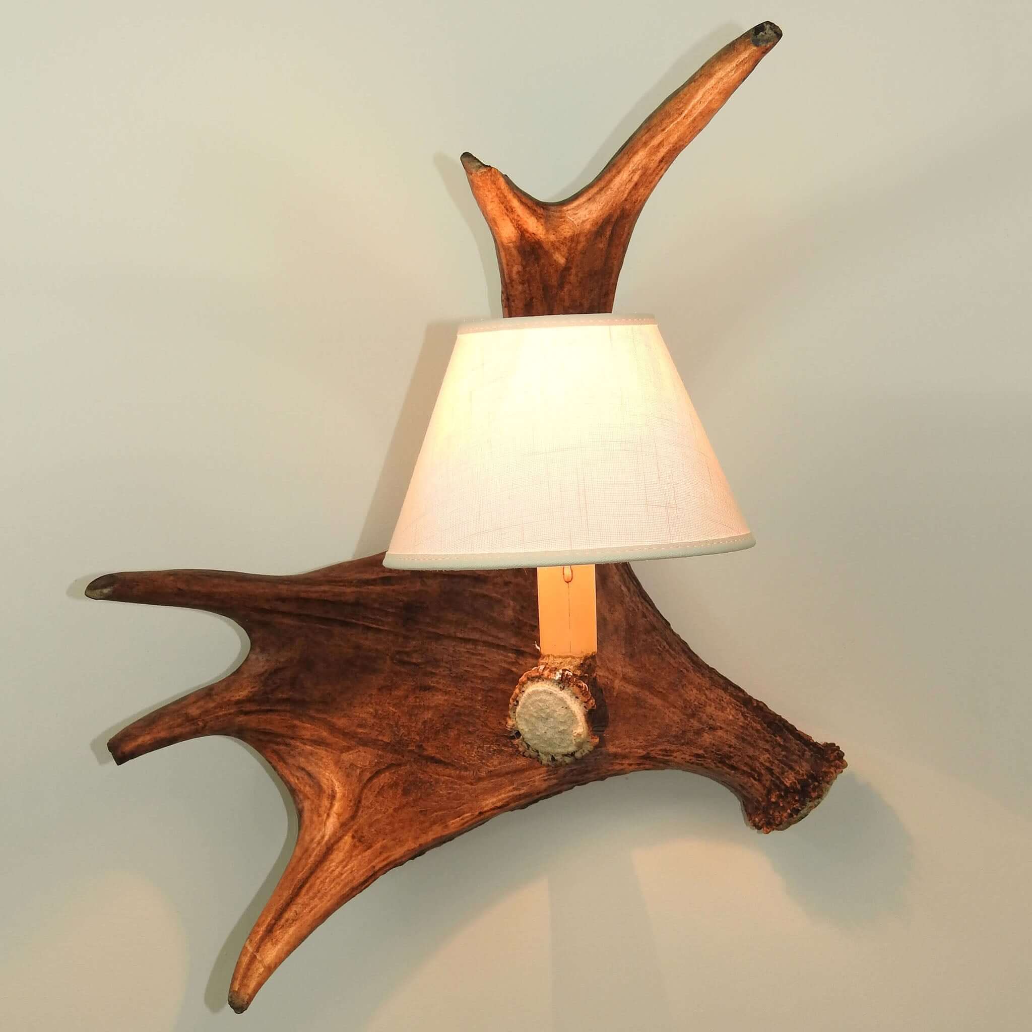 Single moose sconce with shade
