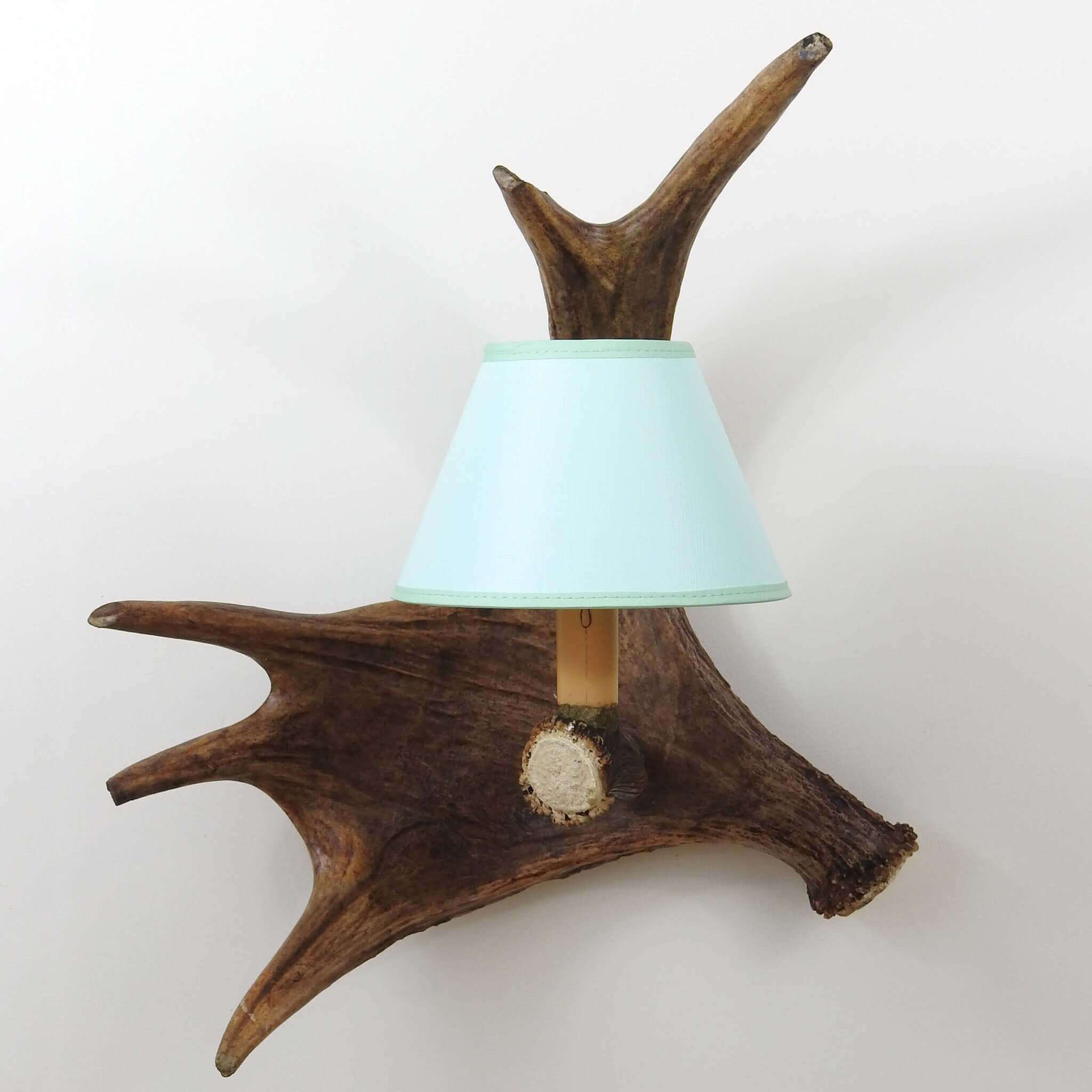 Single moose sconce with shade