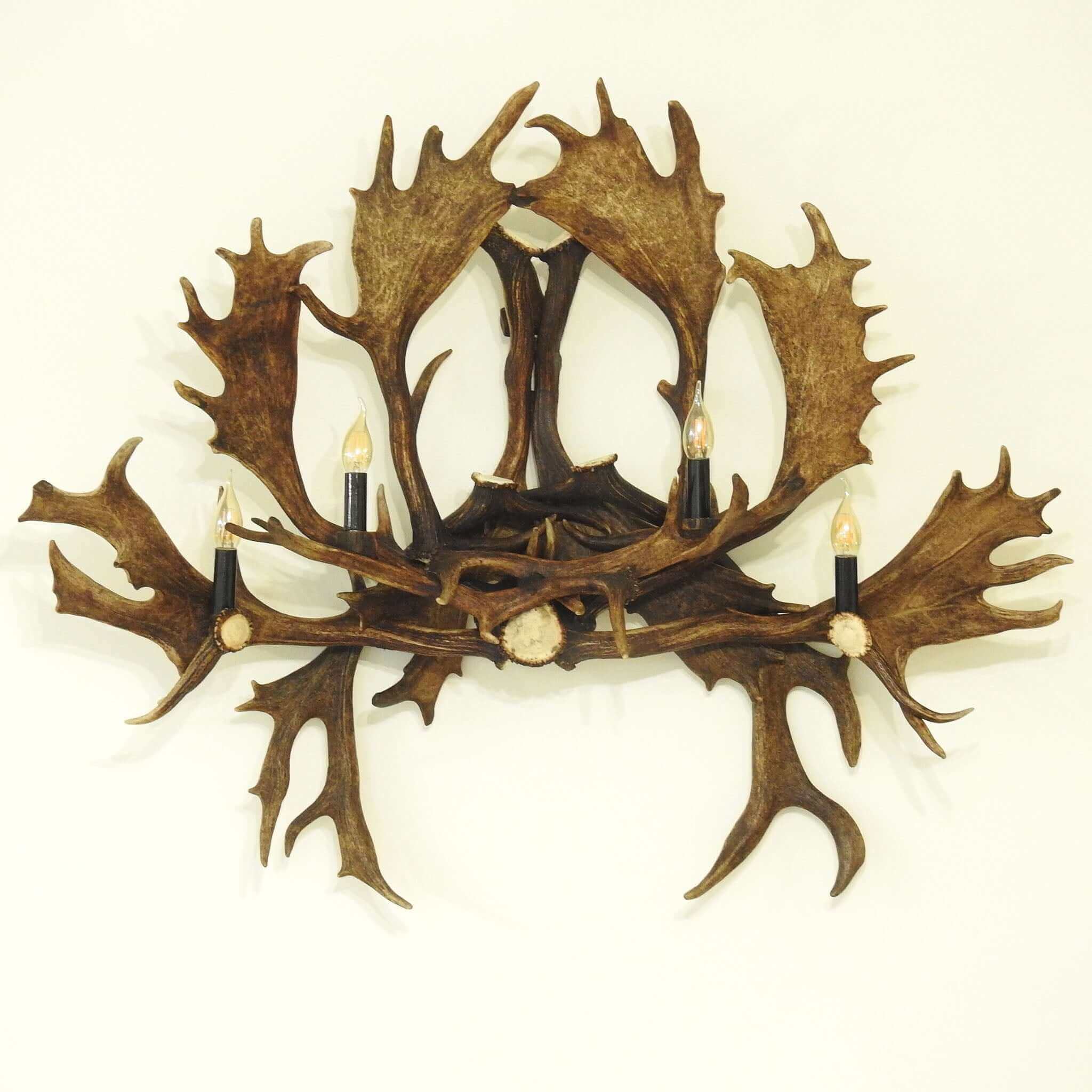 Big antler sconce
