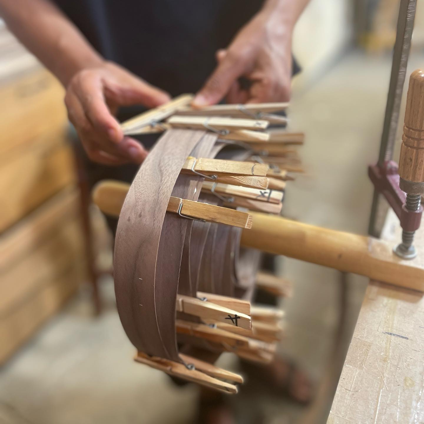 Pendant lamp light cloud walnut