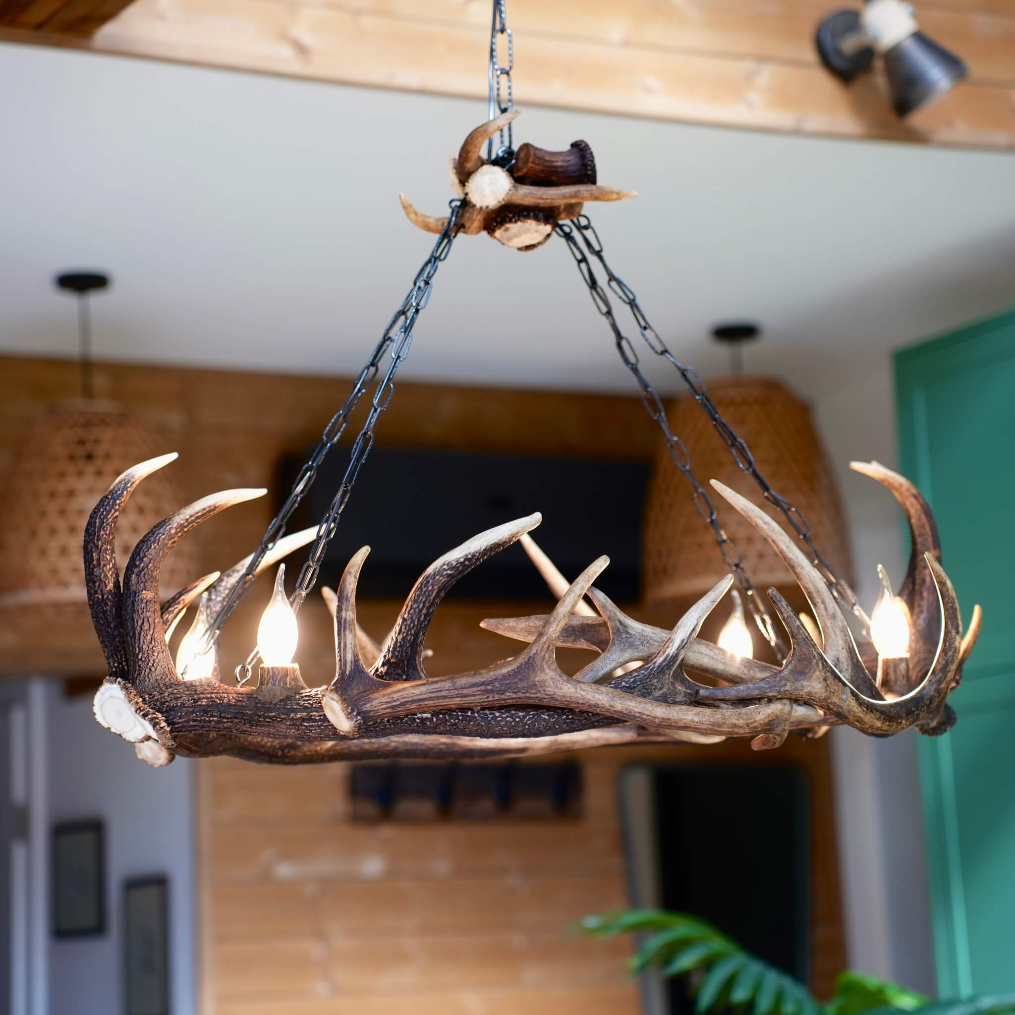 Ellipse antler chandelier