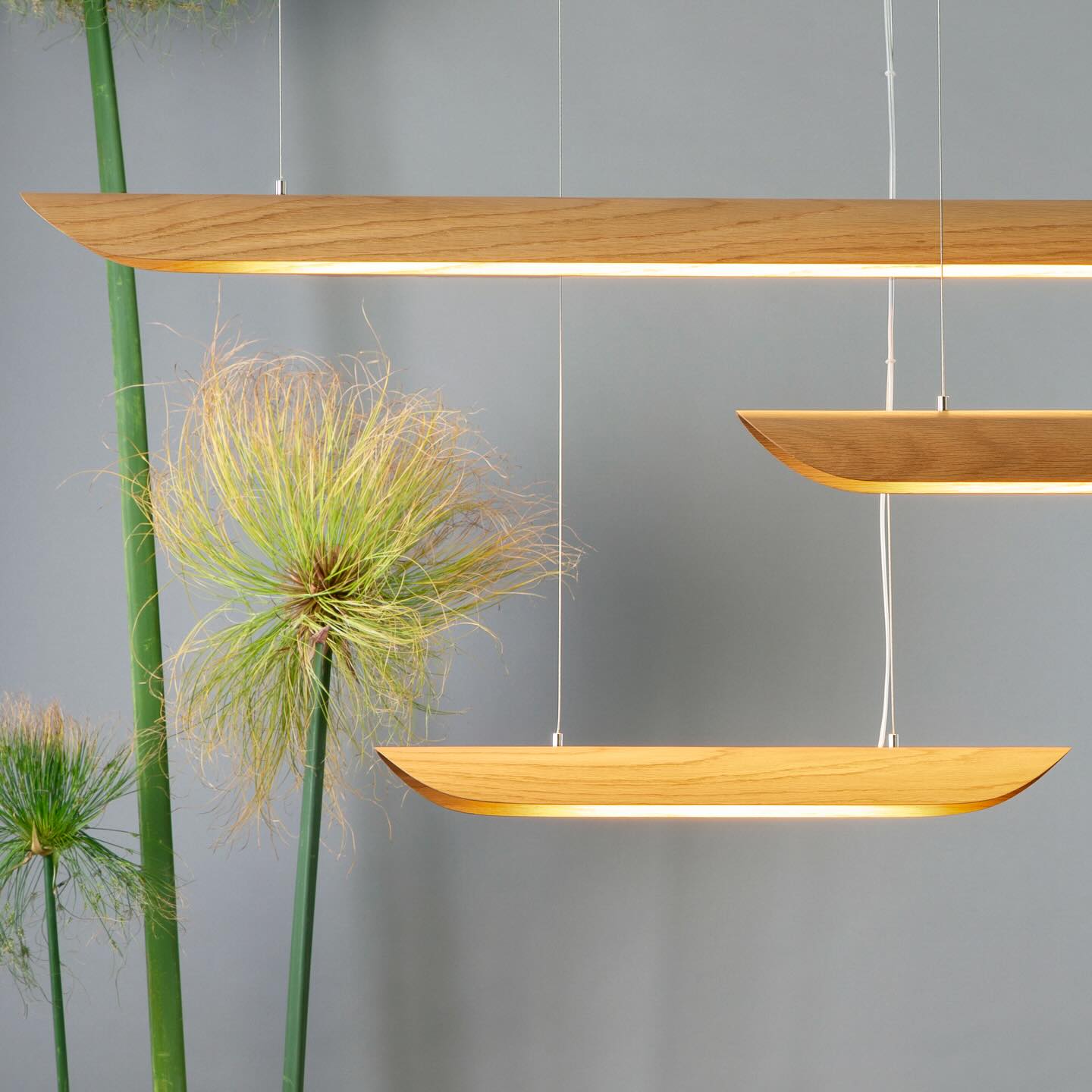 Pendant lamp canoe oak