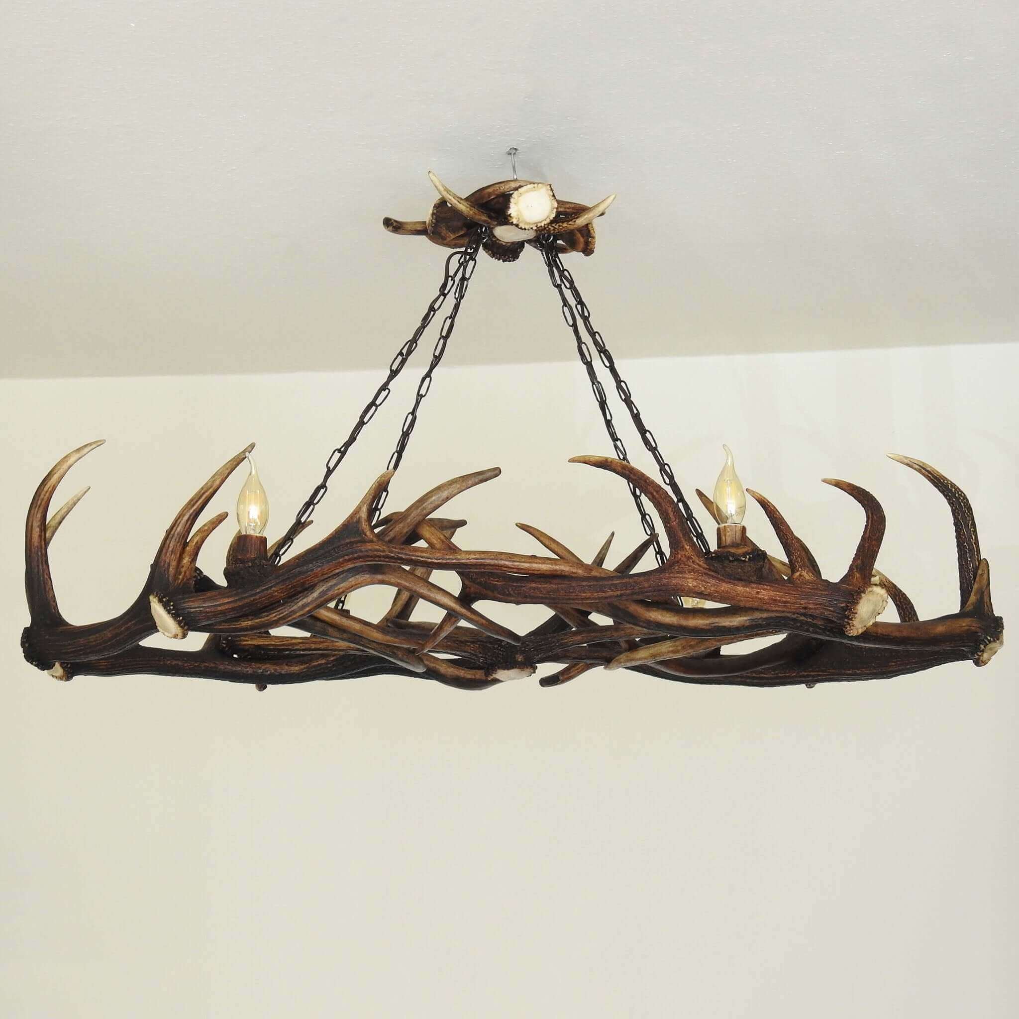 Ellipse antler chandelier