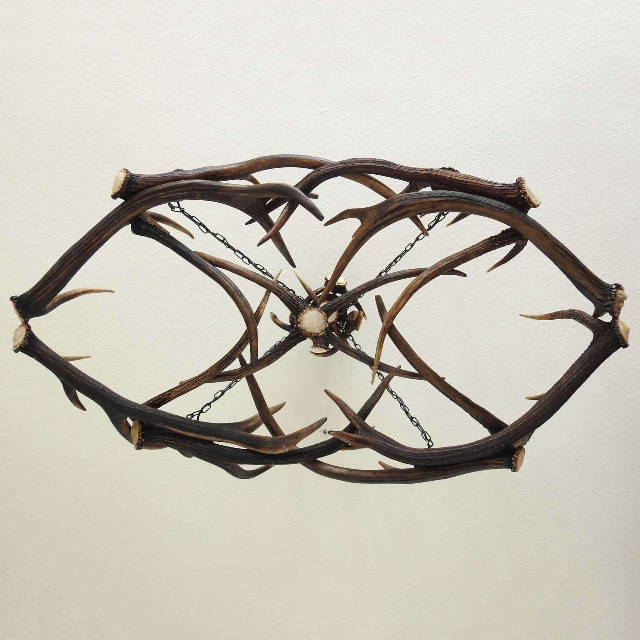 Ellipse antler chandelier
