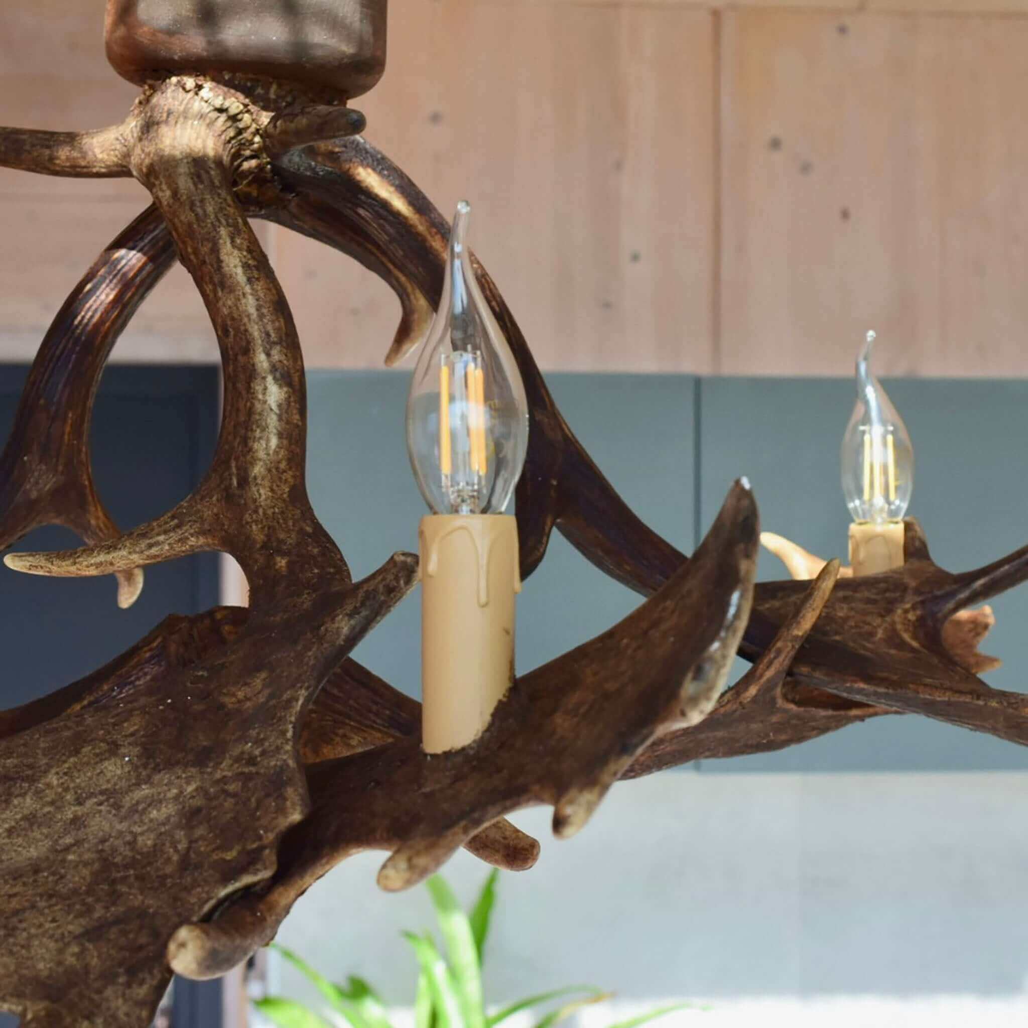 Real low ceiling antler chandelier