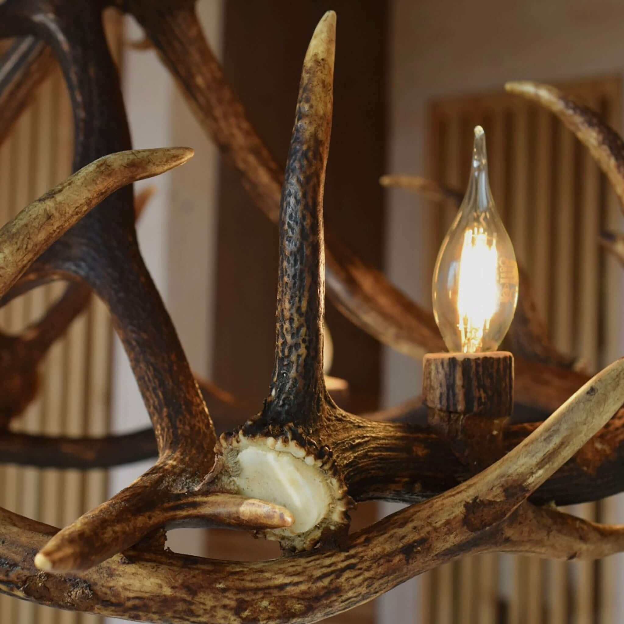 Real large deer antler chandelier