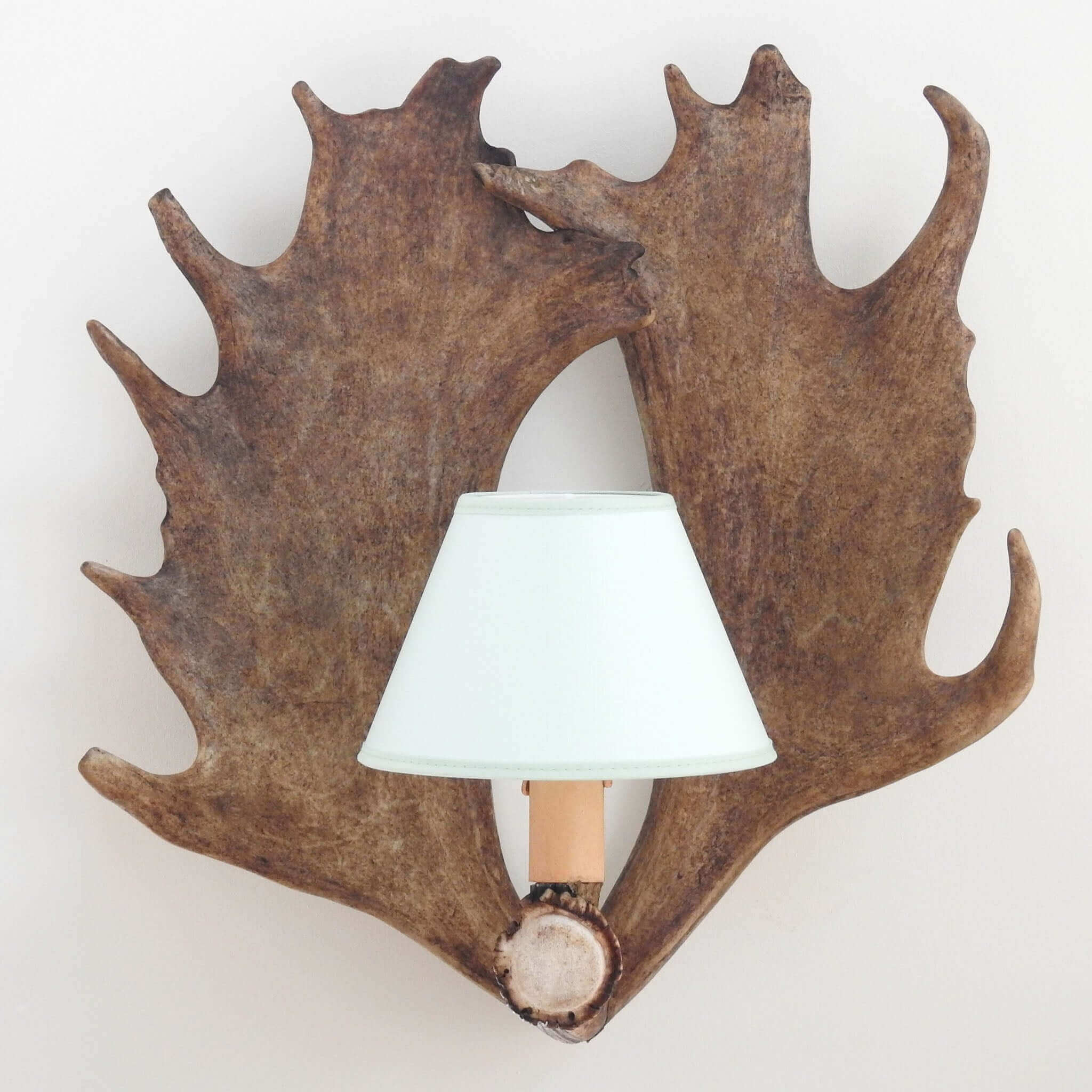 Fallow deer antler sconce with shades
