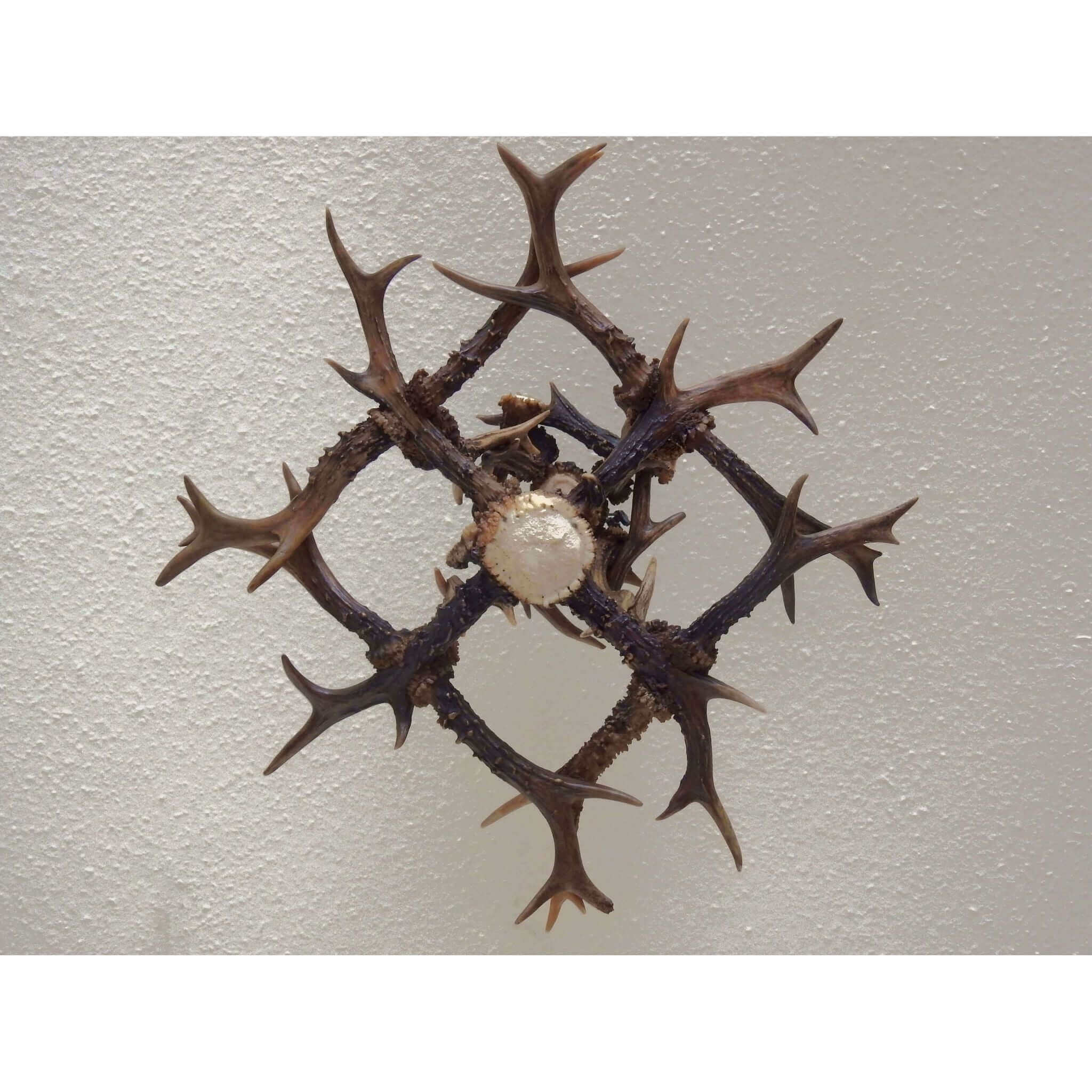 Small antler chandelier for 1 light