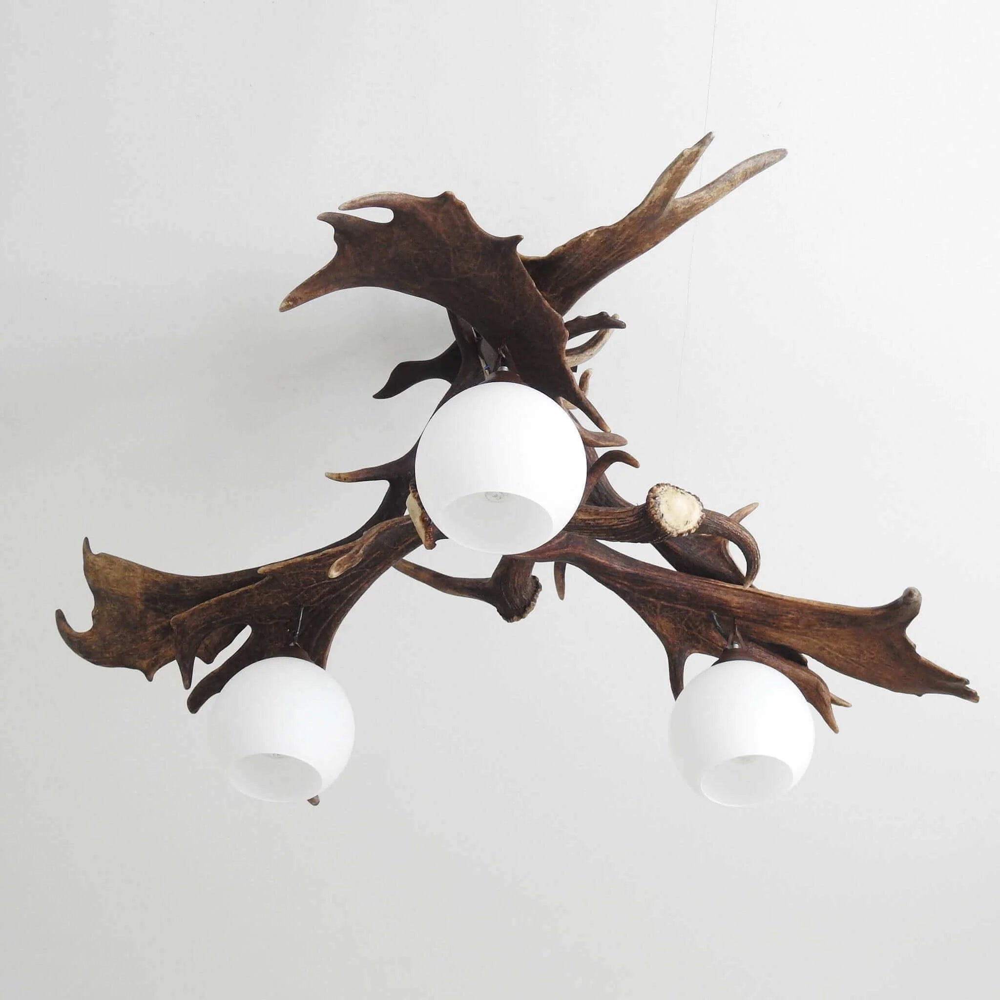 Real antler pendant lamp for 3 lights