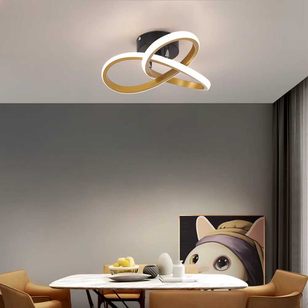 Twisted ring ceiling light