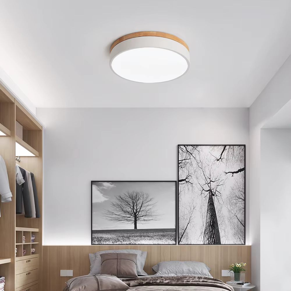 Circle surface ceiling light