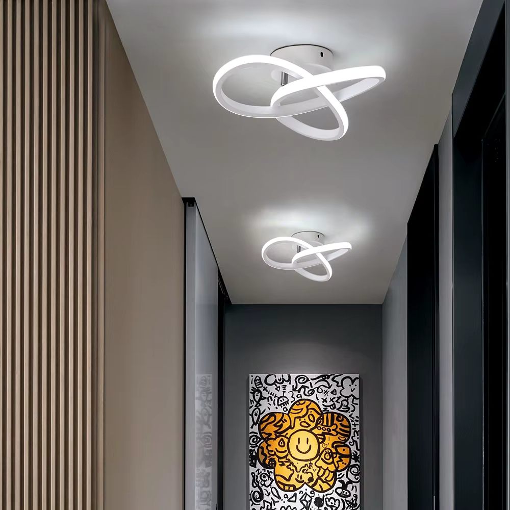 Twisted ring ceiling light