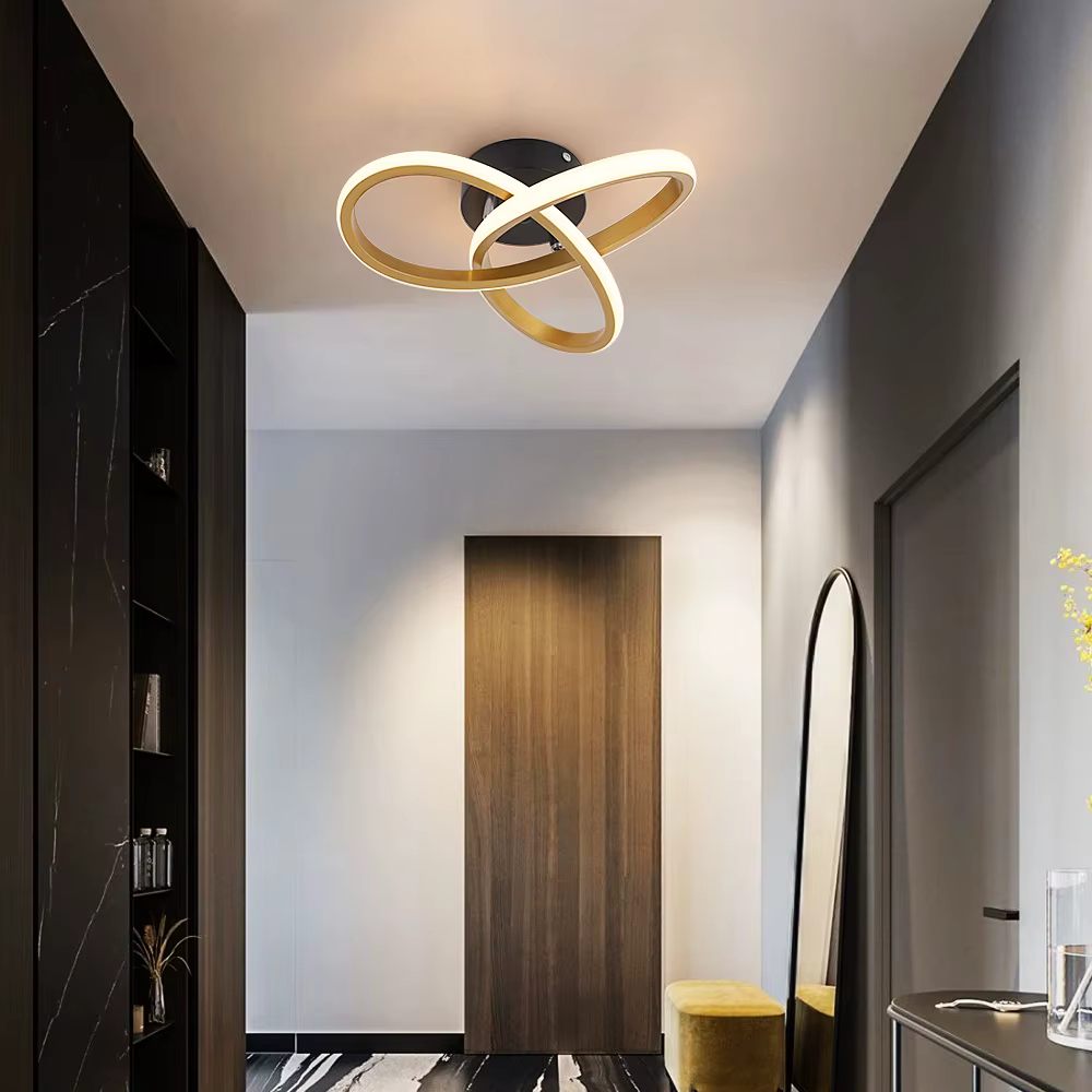 Twisted ring ceiling light