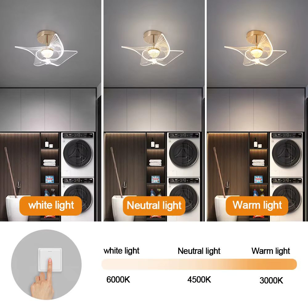 Acrylic ceiling light with LED illumination