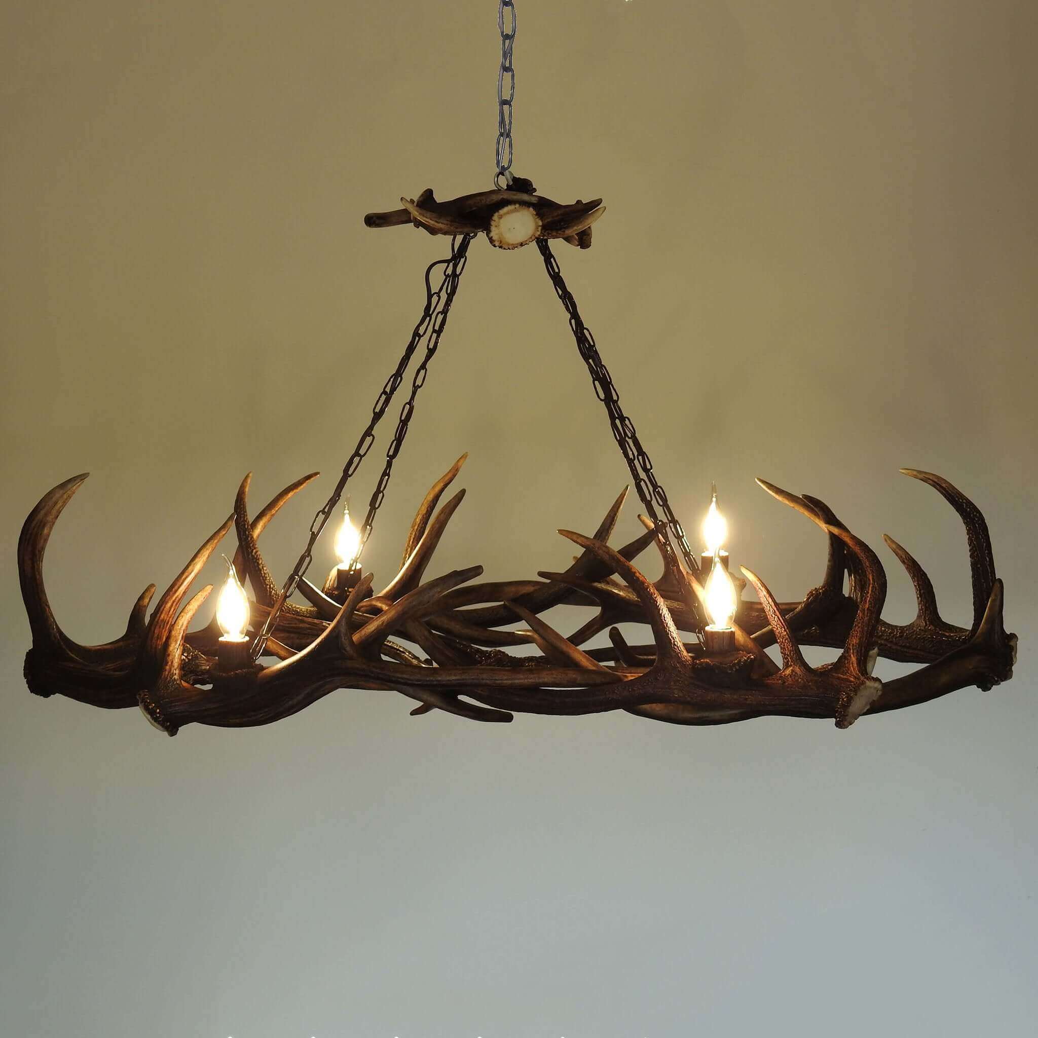 Ellipse antler chandelier
