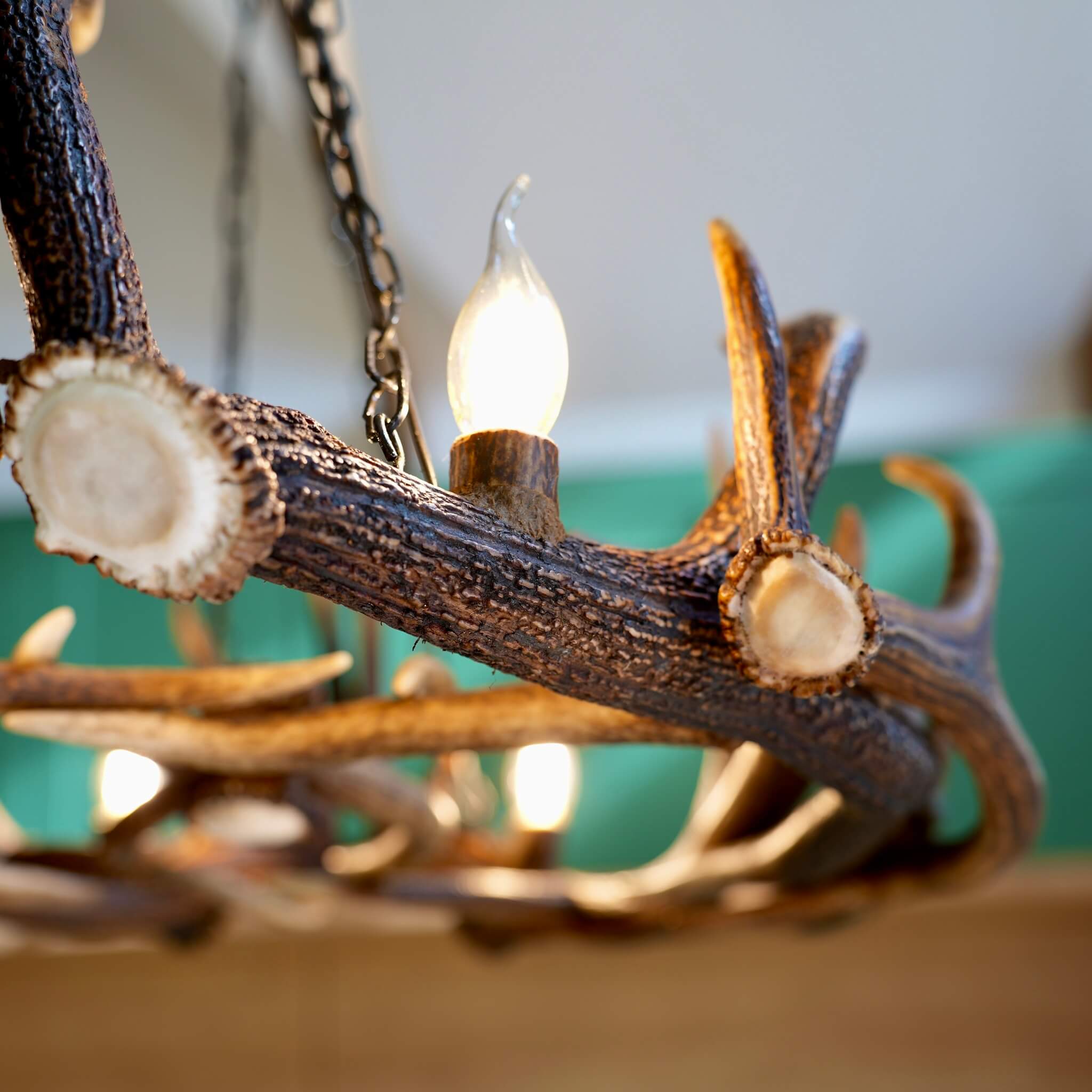 Ellipse antler chandelier