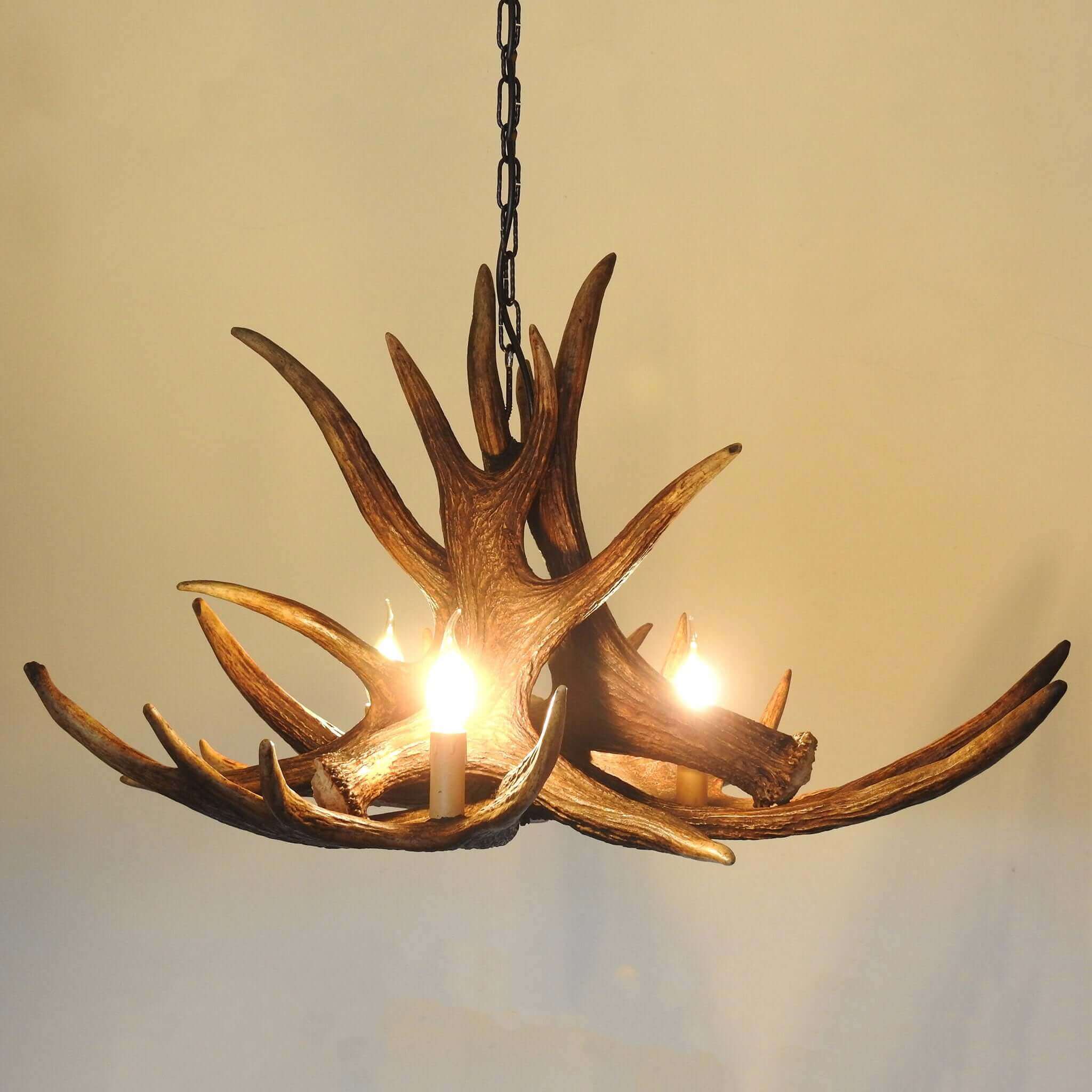 Real moose antler chandelier