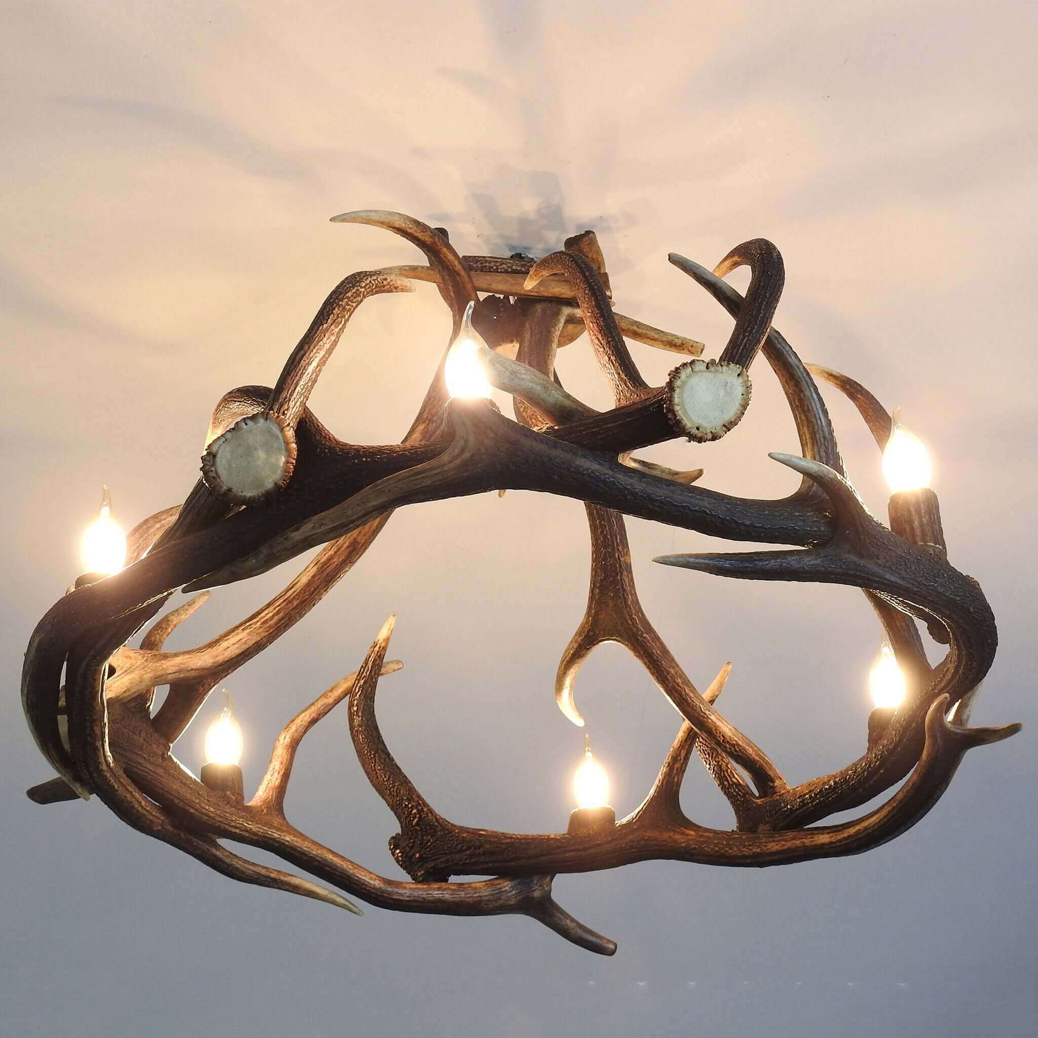 Real large deer antler chandelier