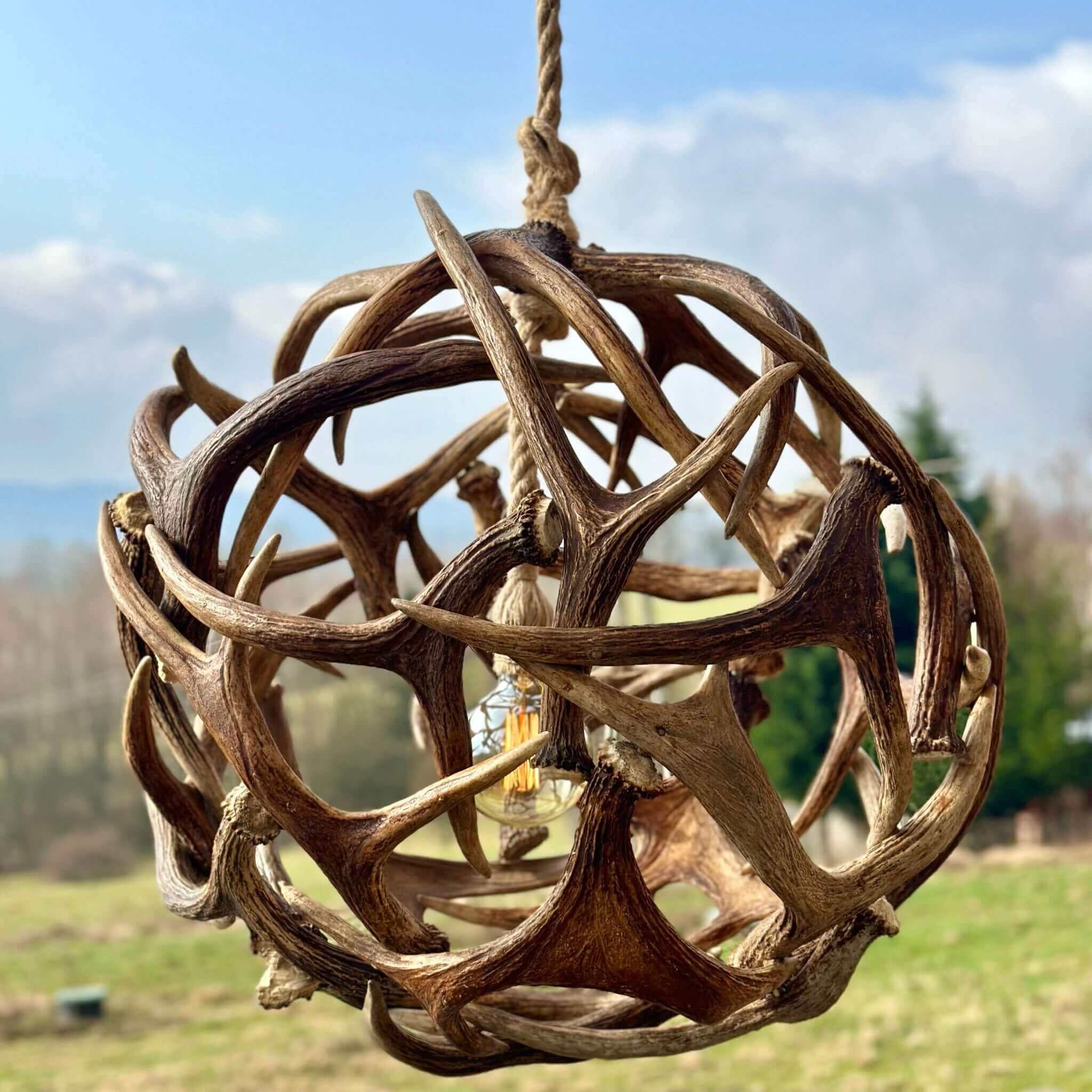 Real moose antler ball chandelier
