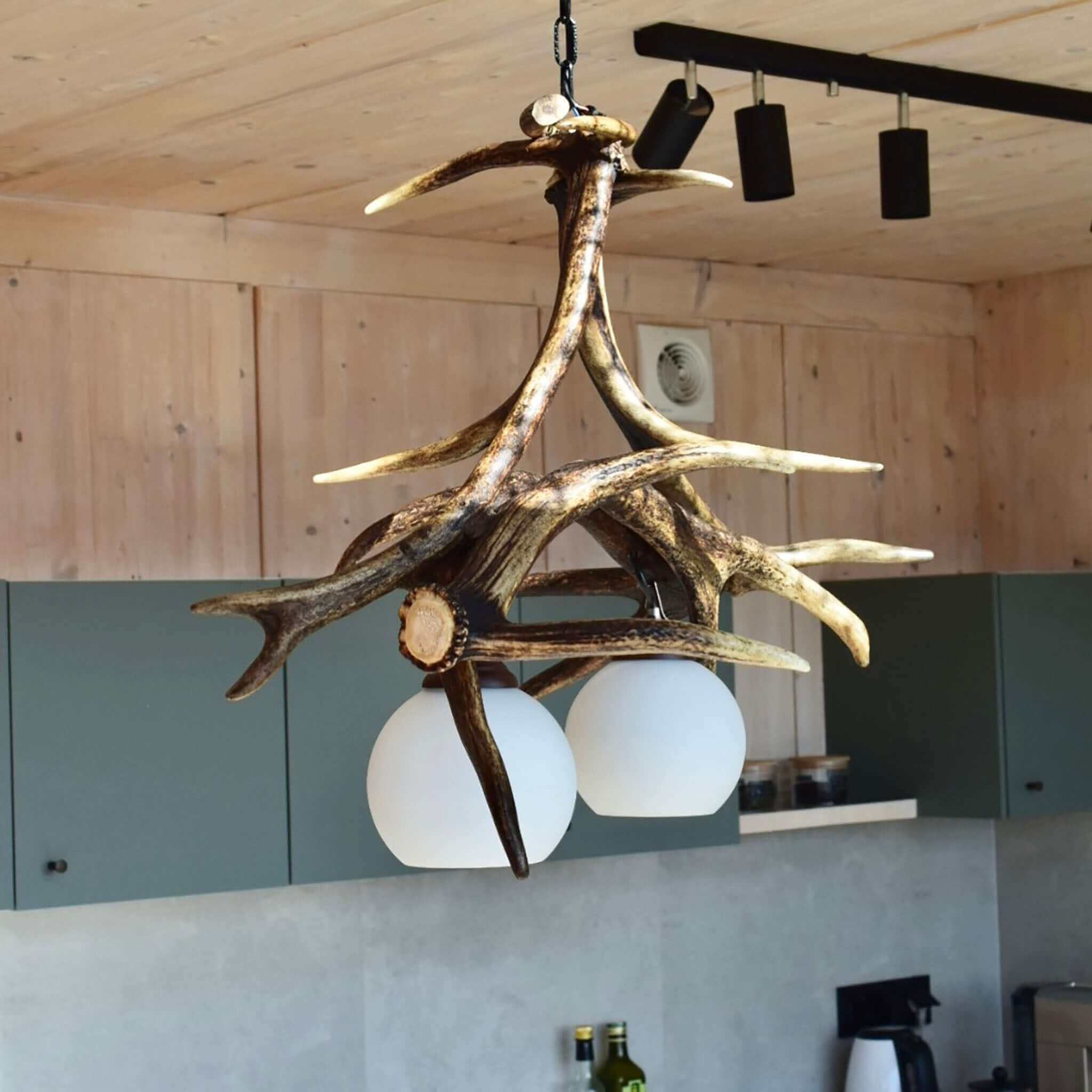 Real antler pendant lamp var.1