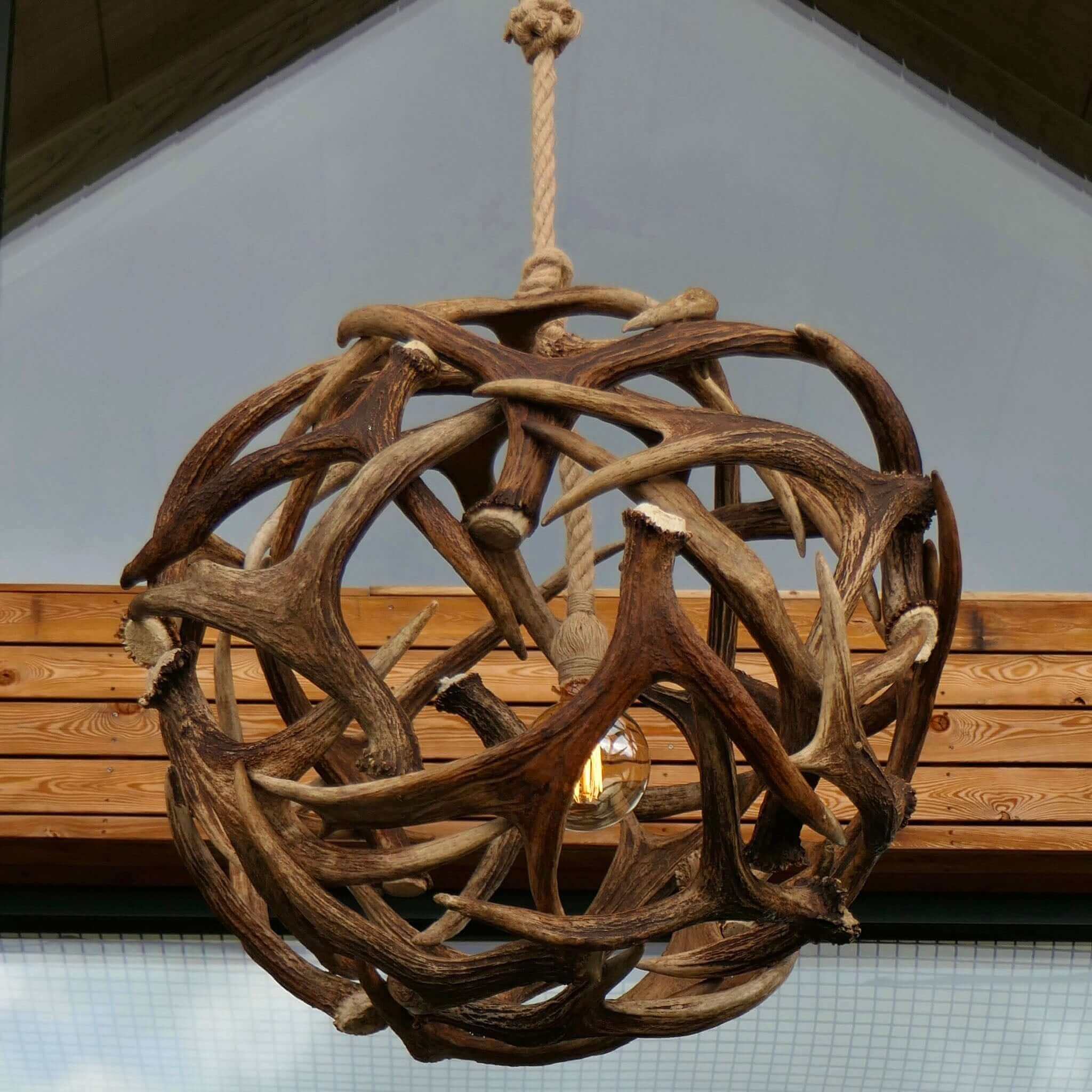 Real moose antler ball chandelier