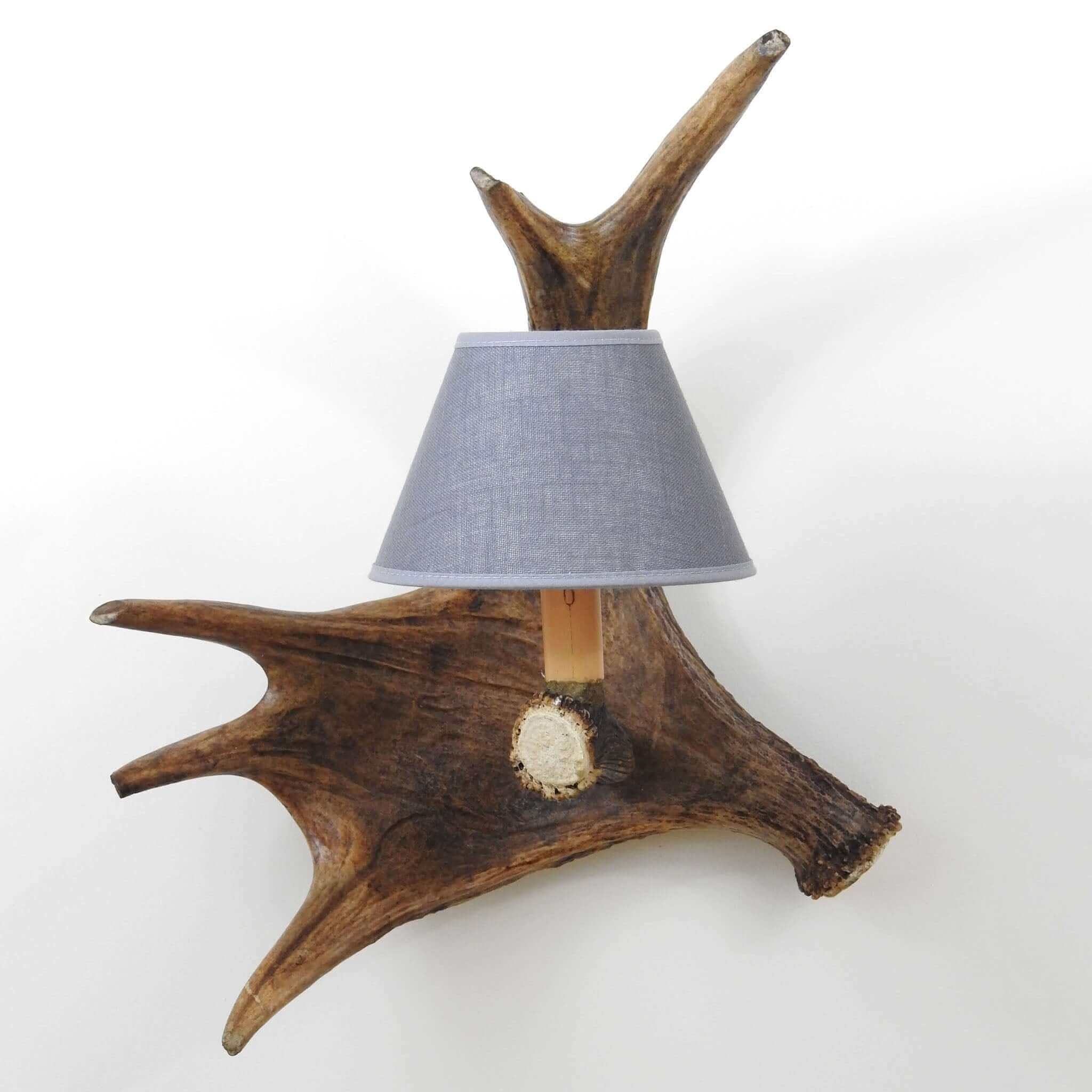 Single moose sconce with shade