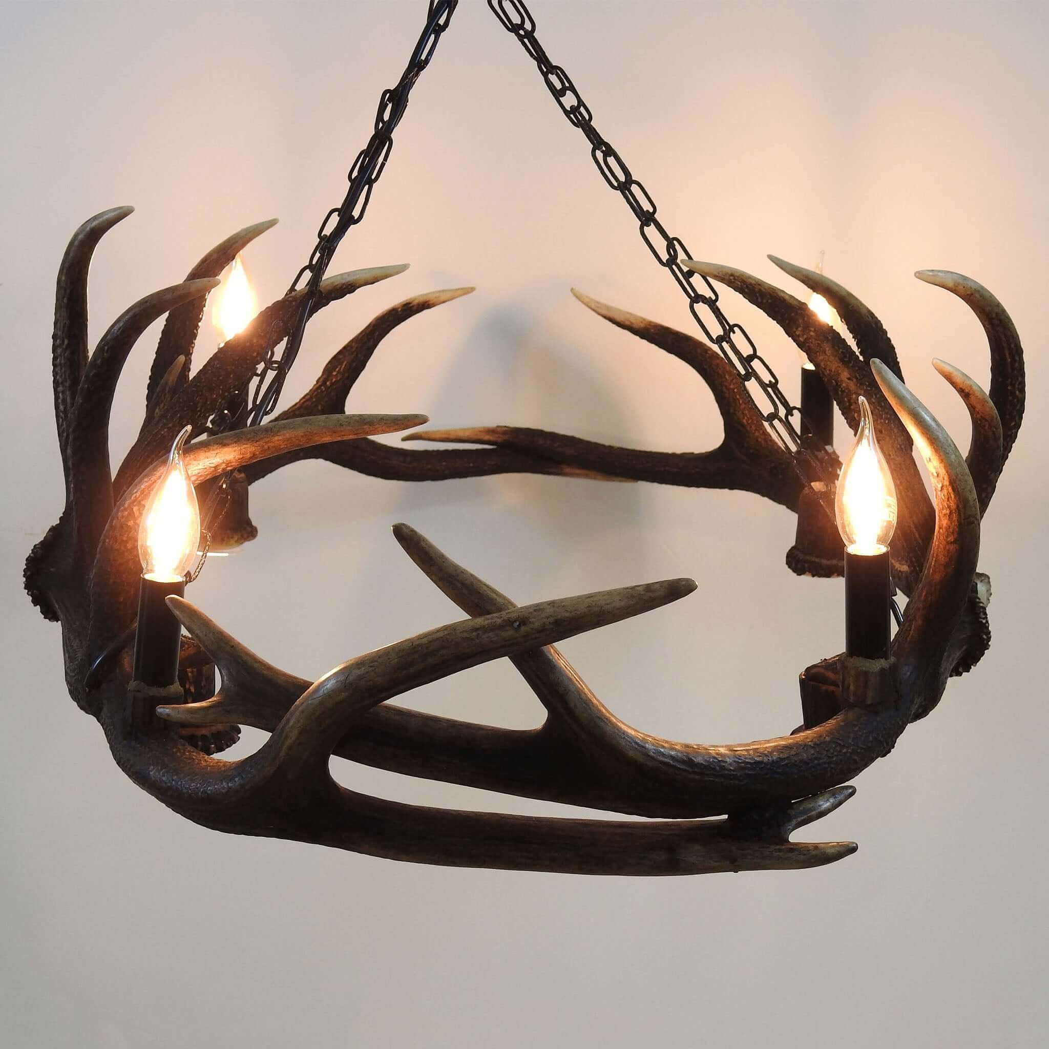 Elipse antler chandelier for 8 lights