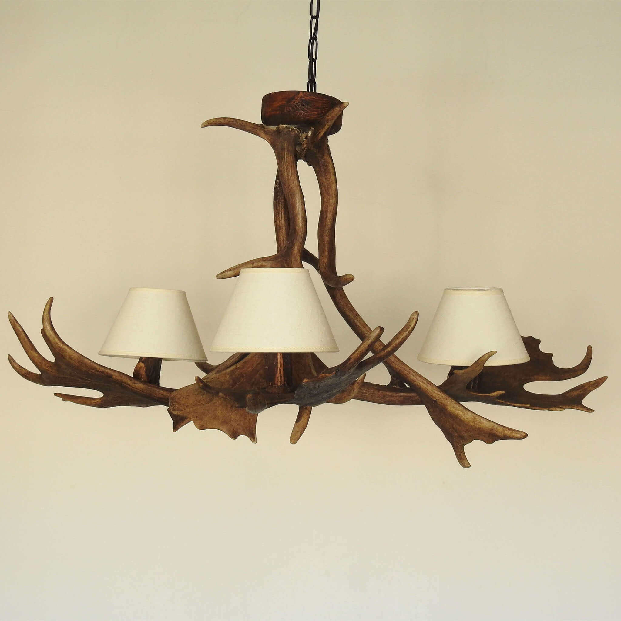 Real antler chandelier for 3 lights with shades