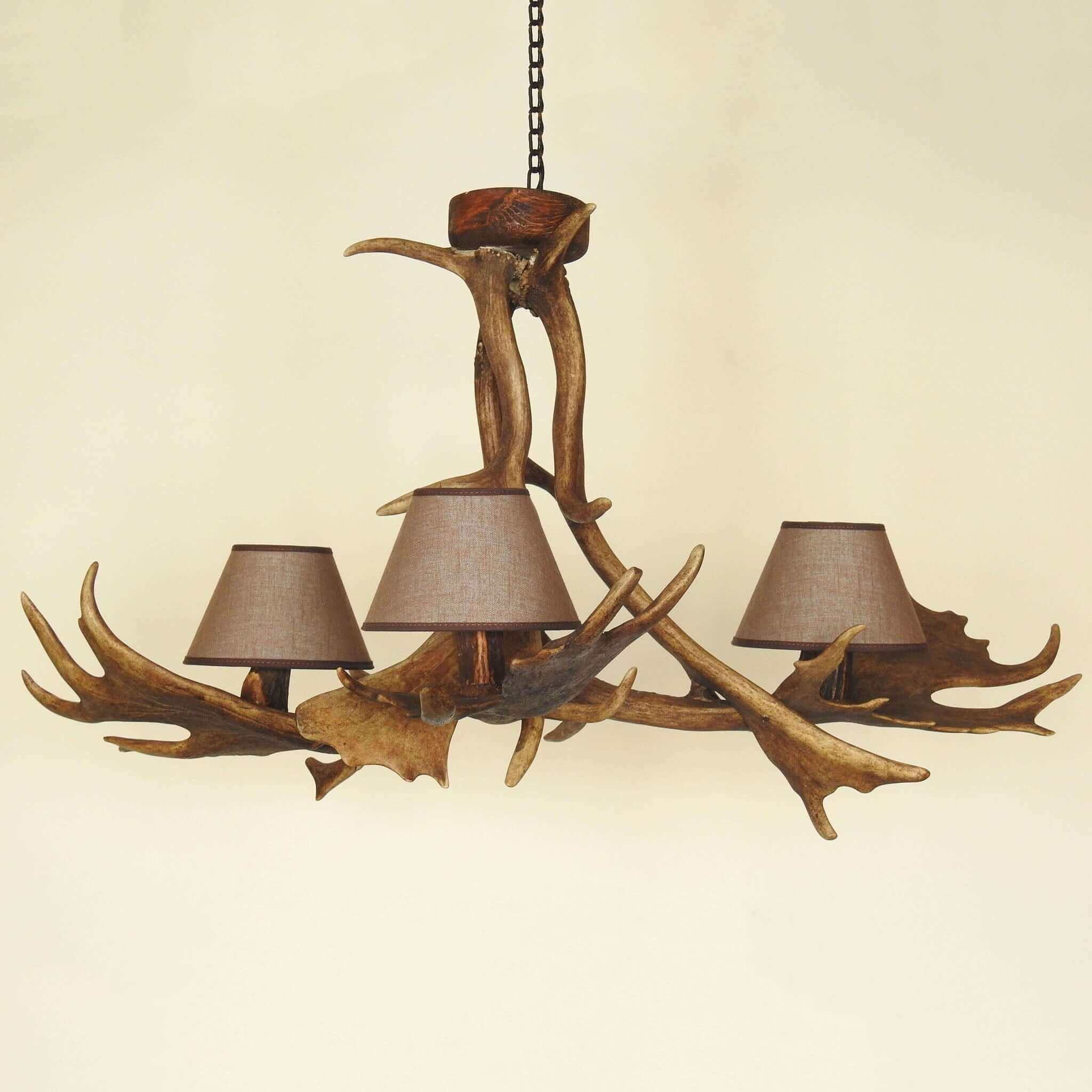 Real antler chandelier for 3 lights with shades