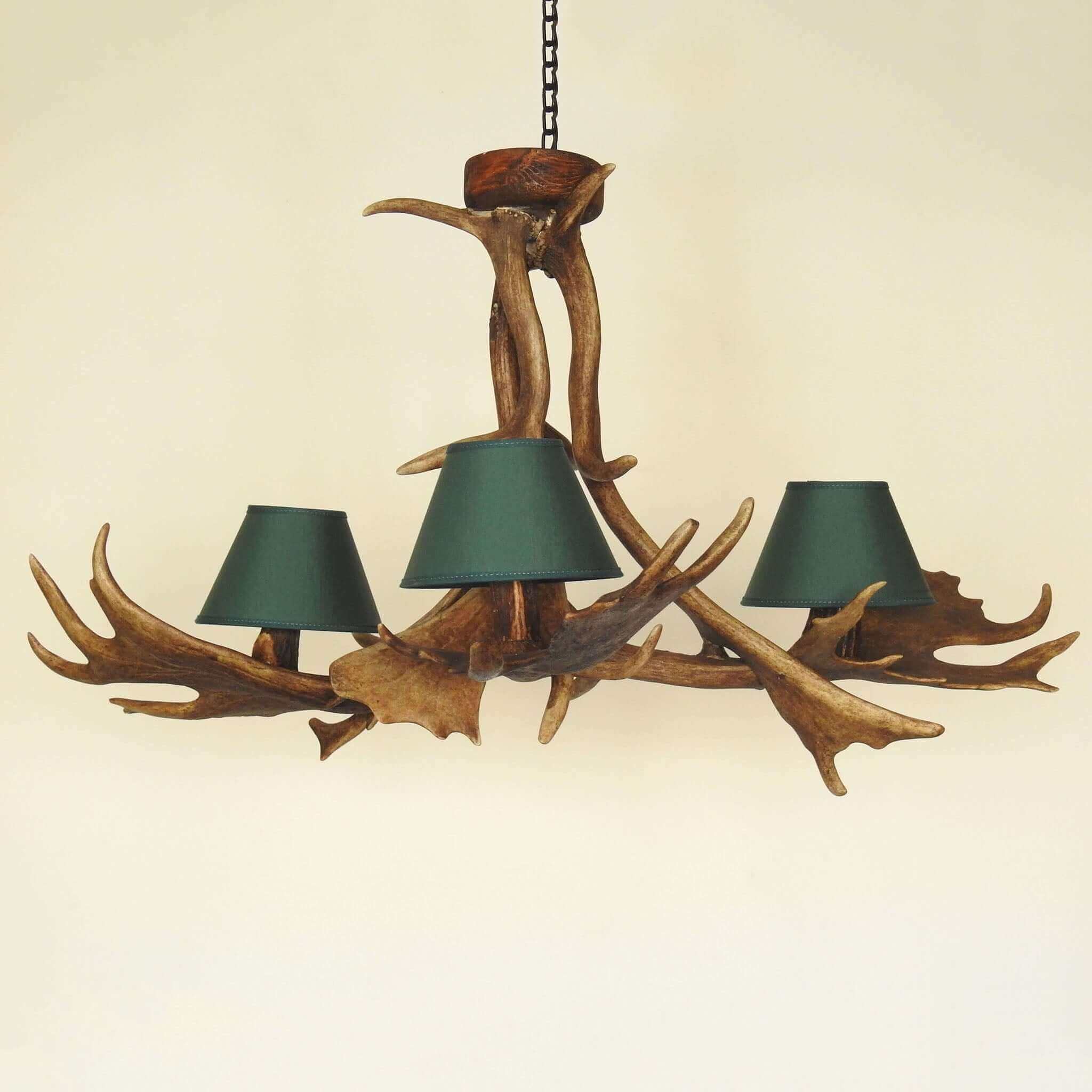 Real antler chandelier for 3 lights with shades