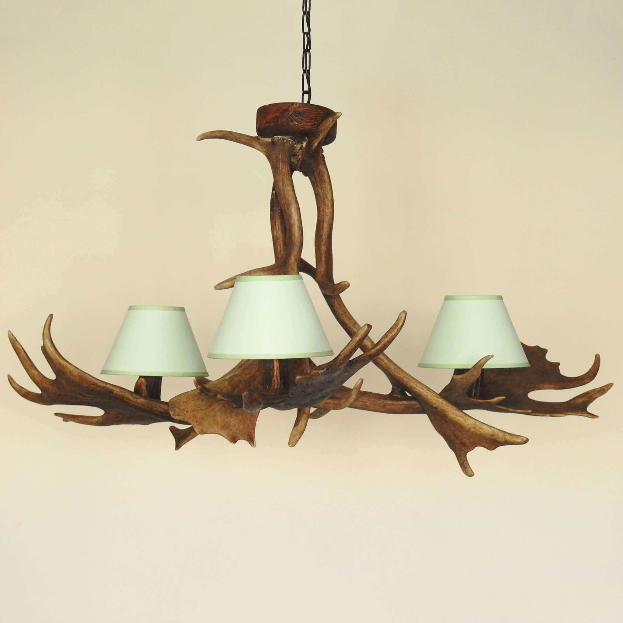 Real antler chandelier for 3 lights with shades