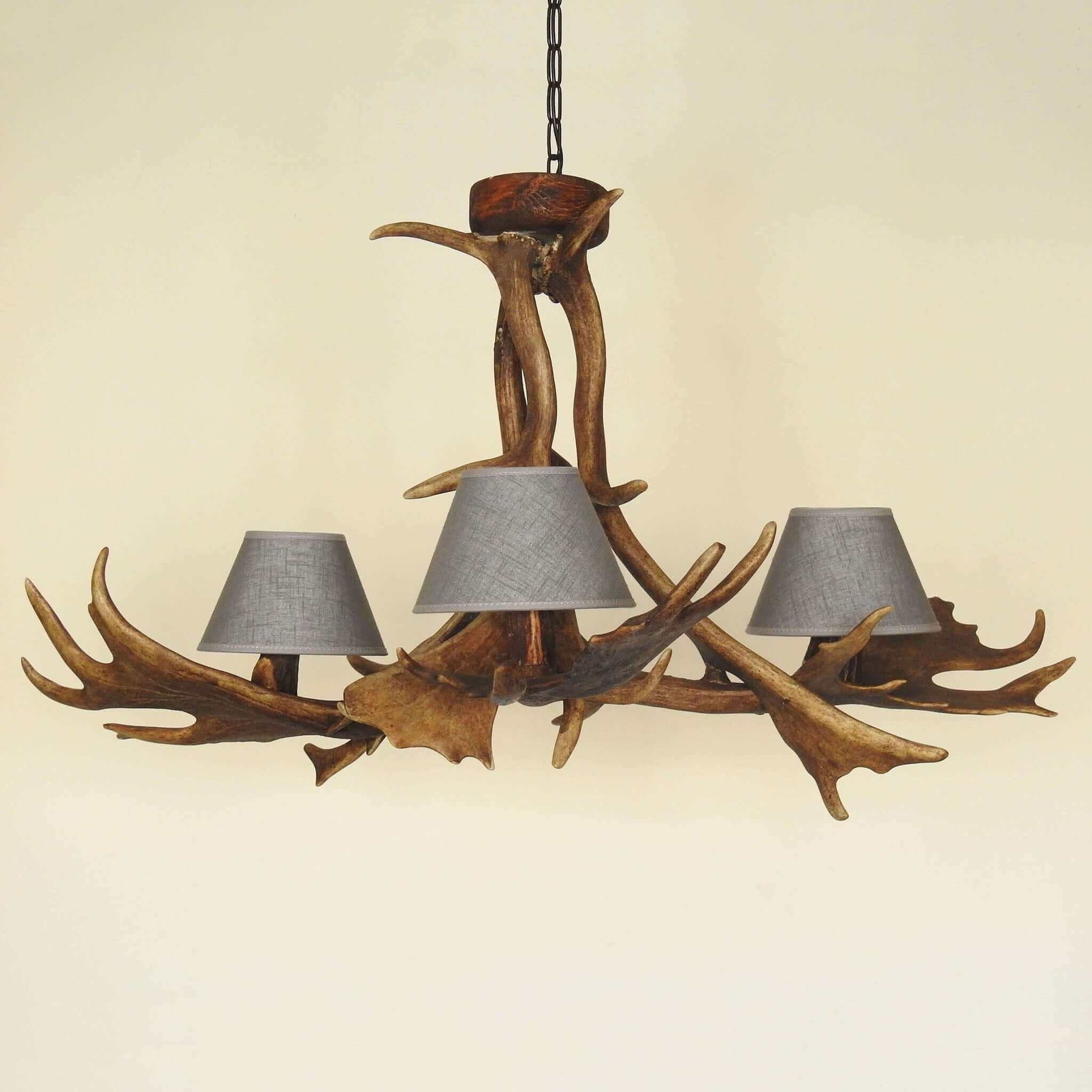 Real antler chandelier for 3 lights with shades