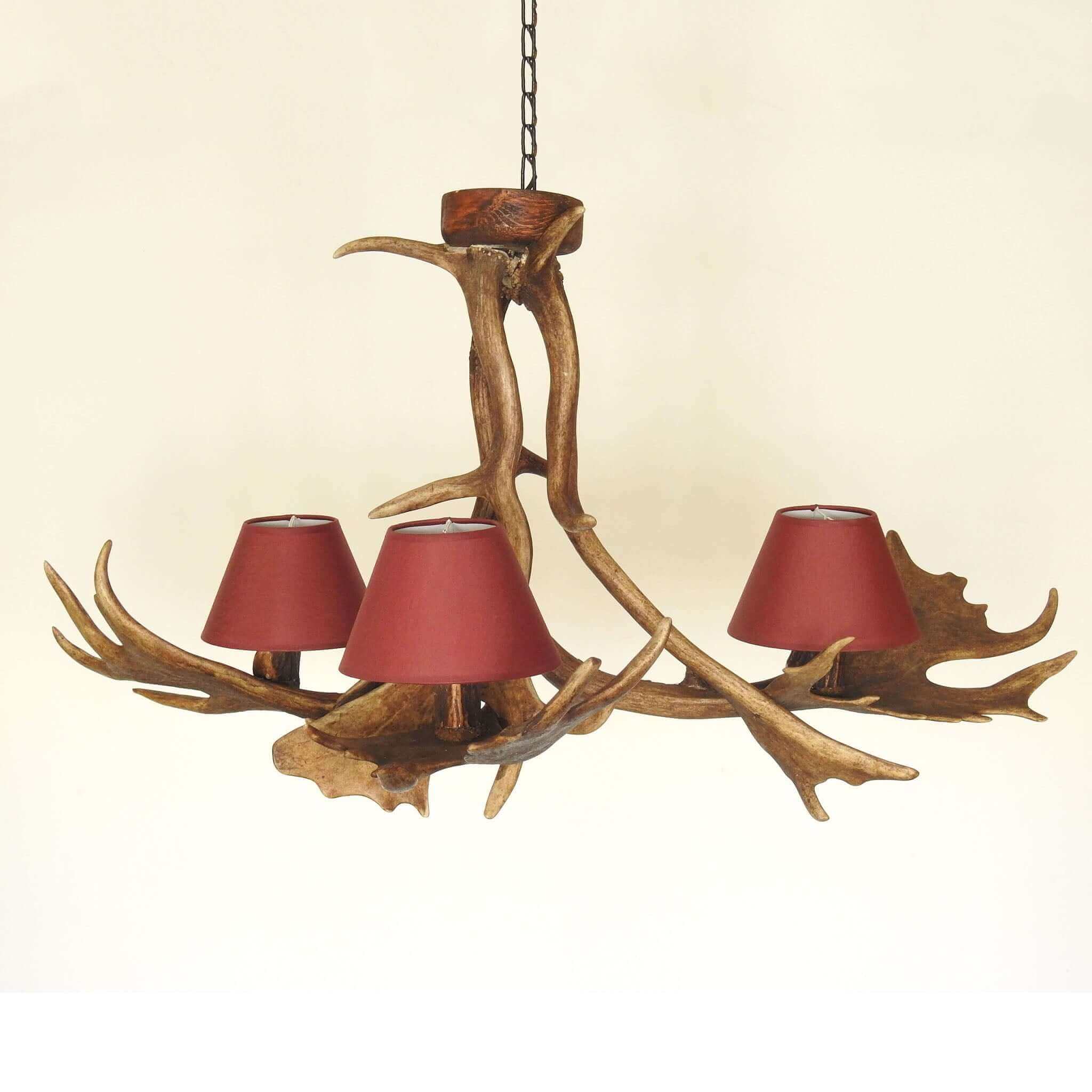 Real antler chandelier for 3 lights with shades