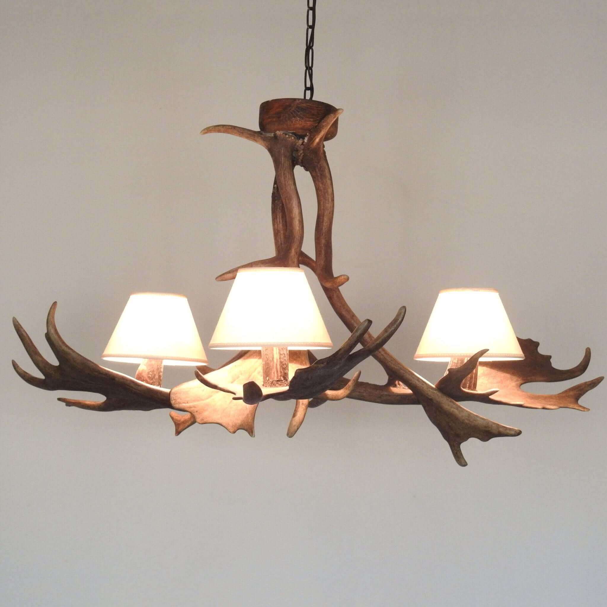 Real antler chandelier for 3 lights with shades