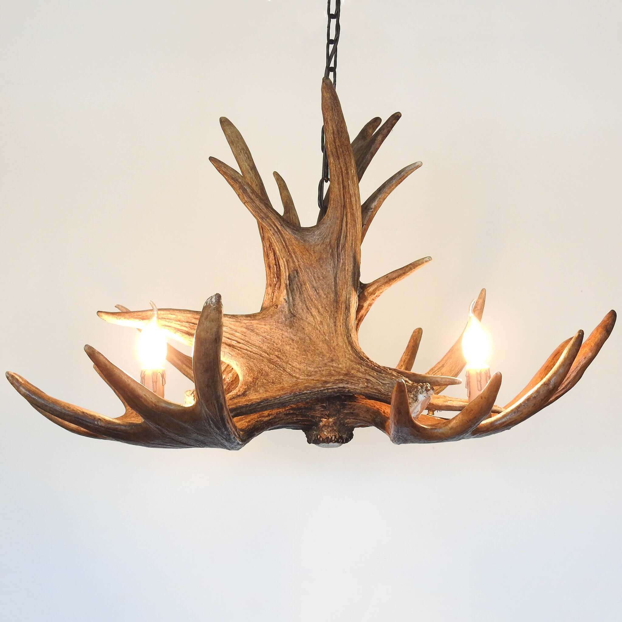 Real moose antler chandelier 2
