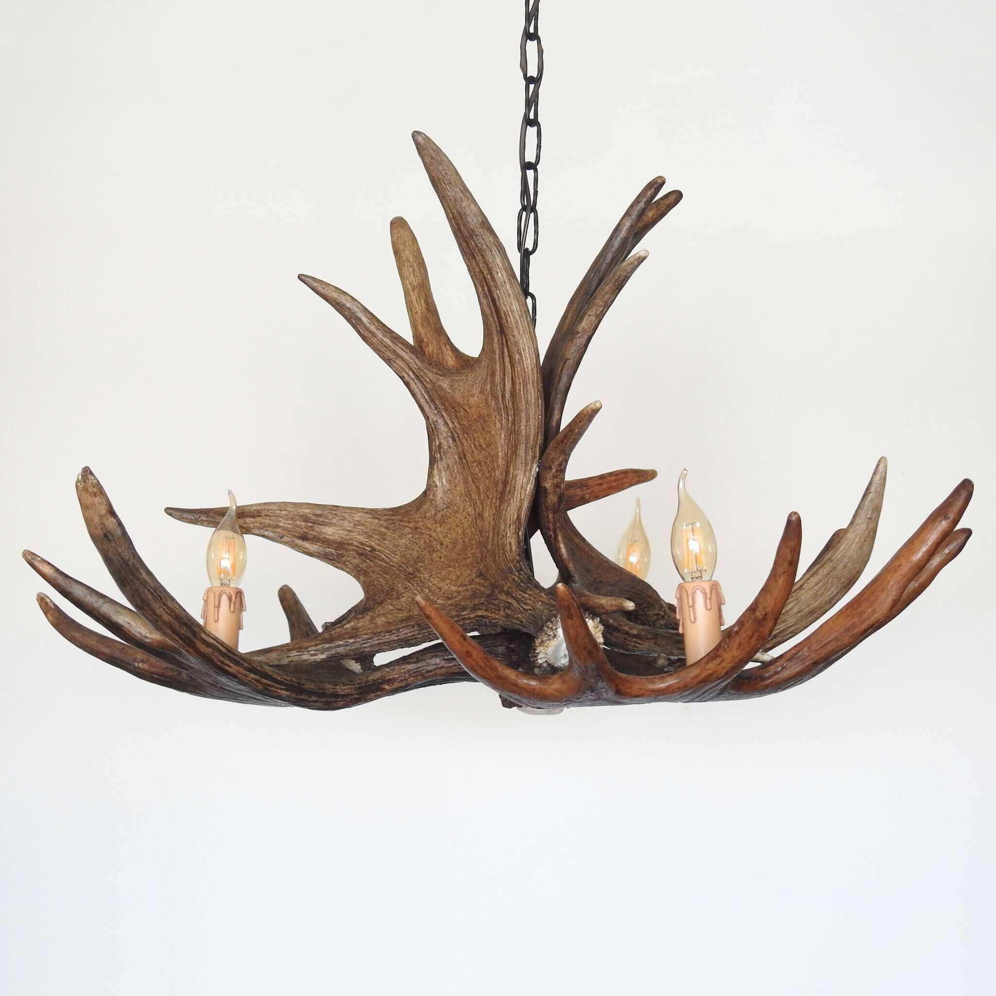 Real moose antler chandelier 2