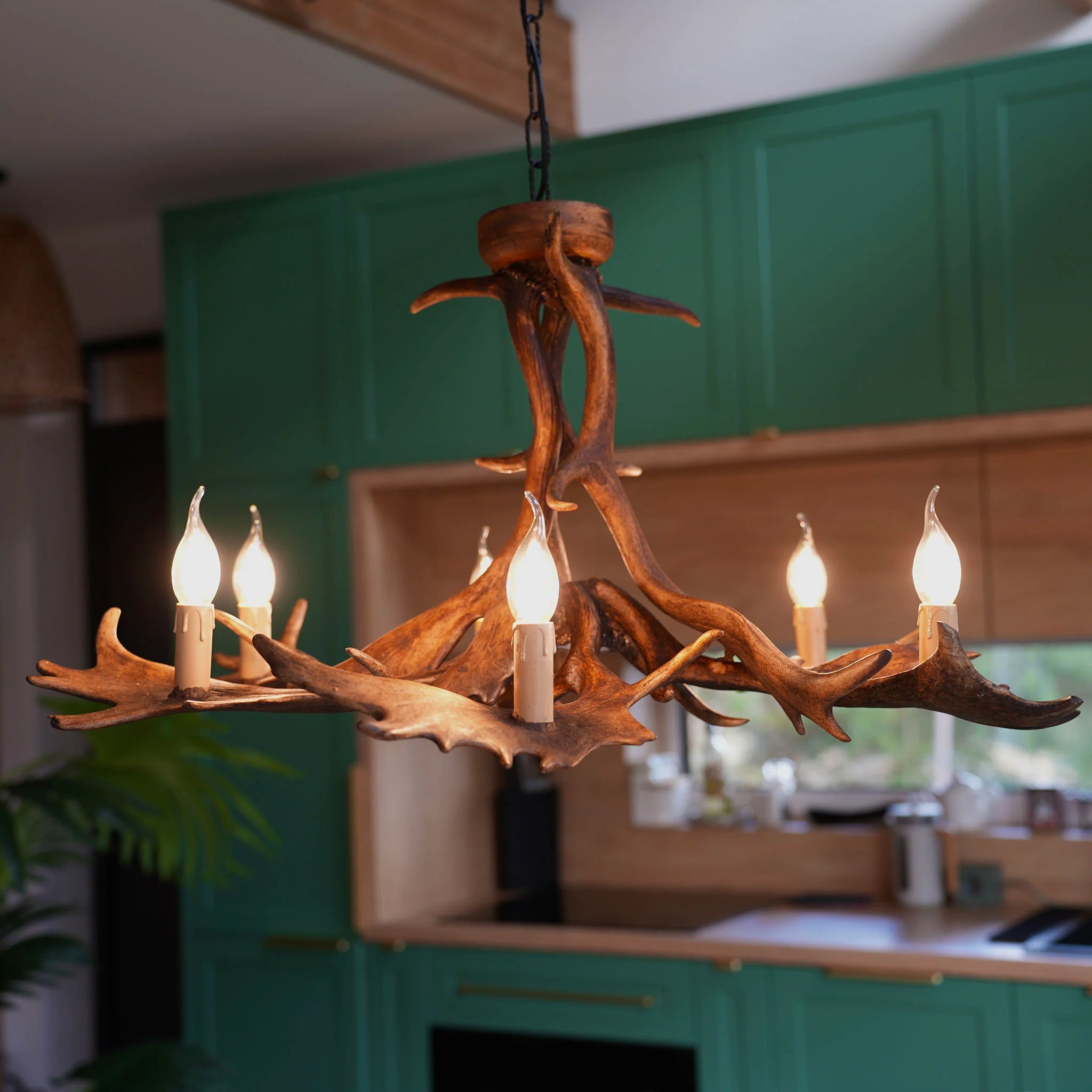 Classic fallow deer antler chandelier for 6 lights