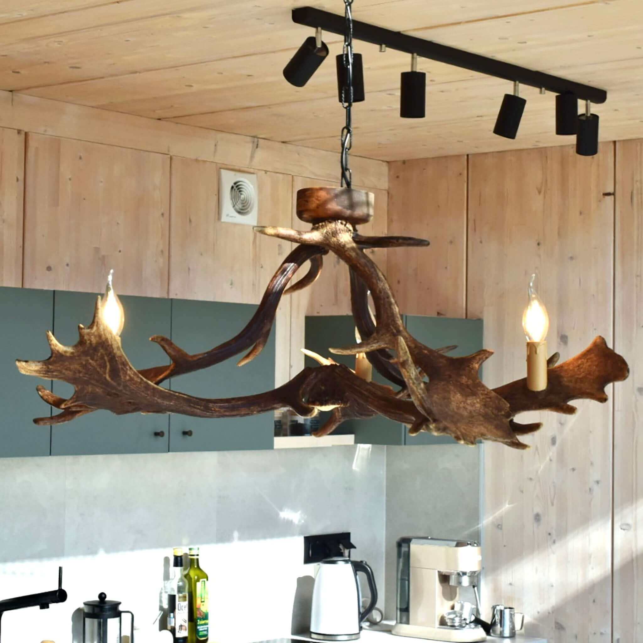 Real low ceiling antler chandelier